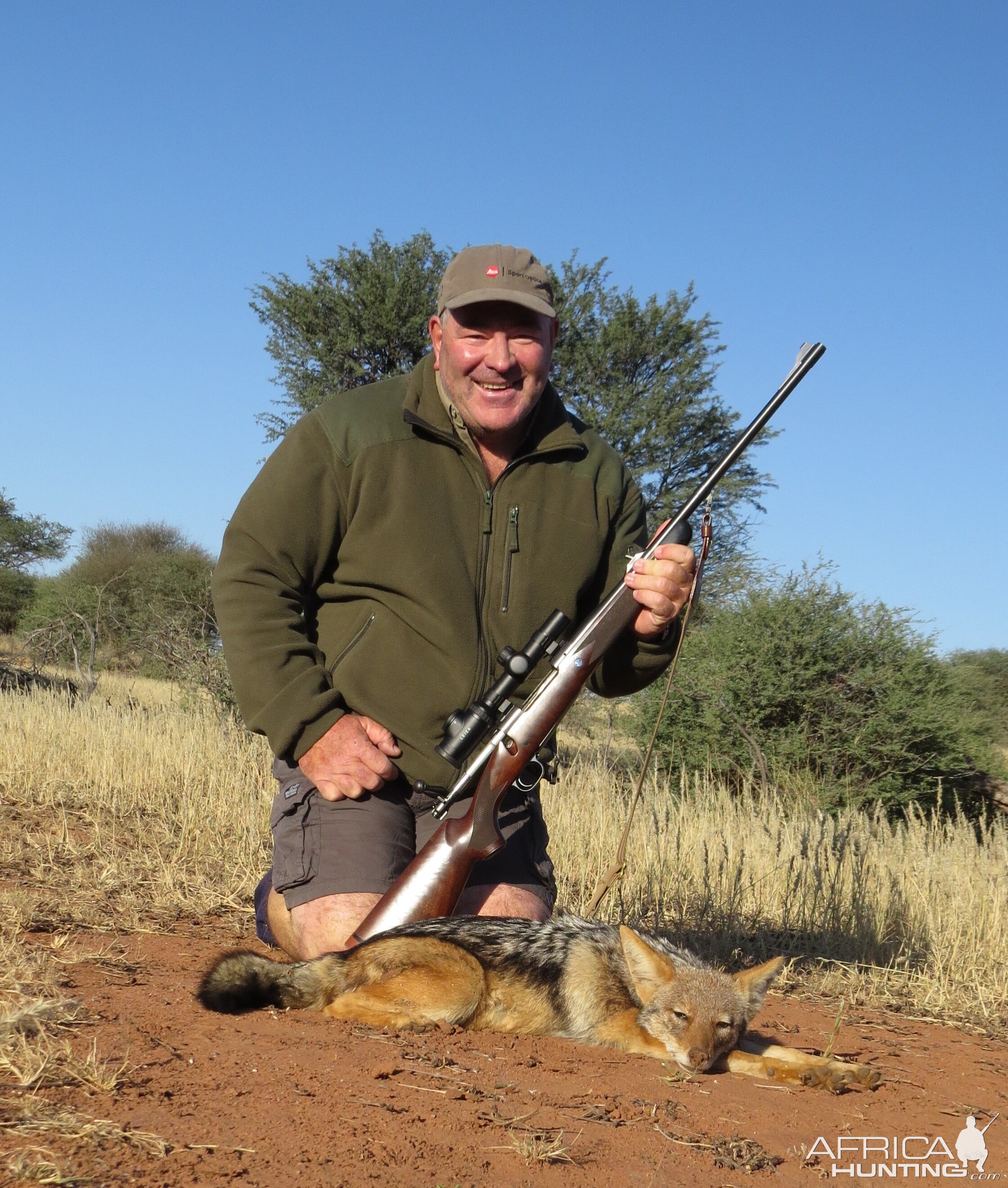 Hunt Jackal in South Africa