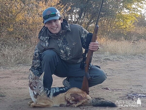 Hunt Jackal in South Africa