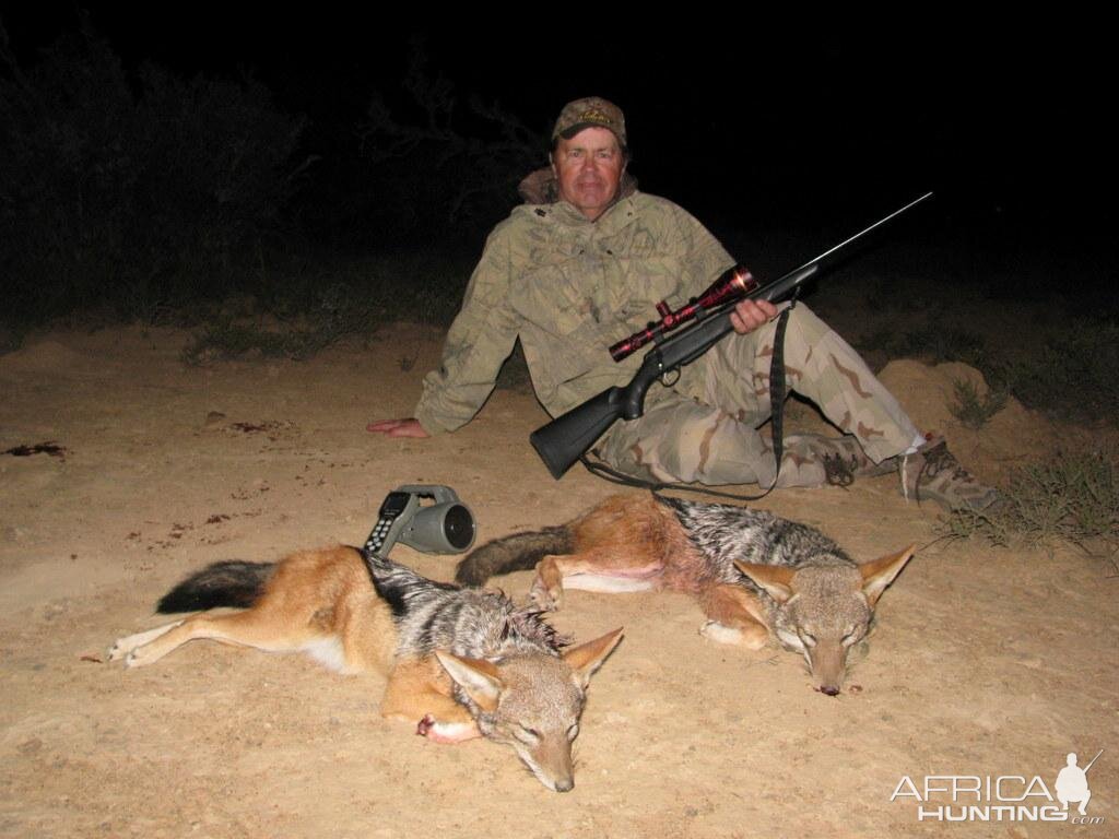 Hunt Jackal in South Africa