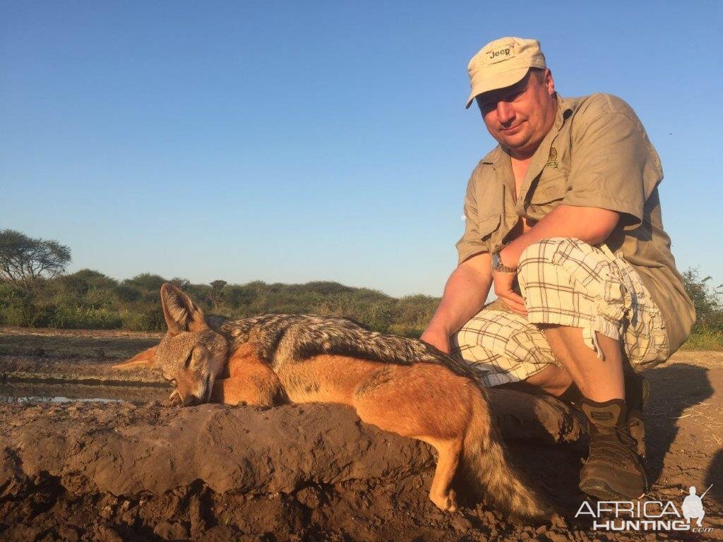 Hunt jackal South Africa