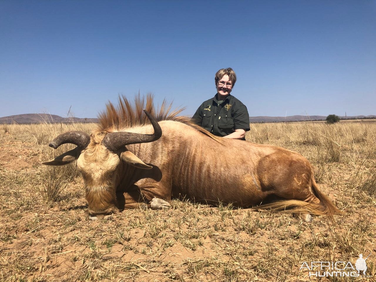 Hunt Kings Wildebeest in South Africa