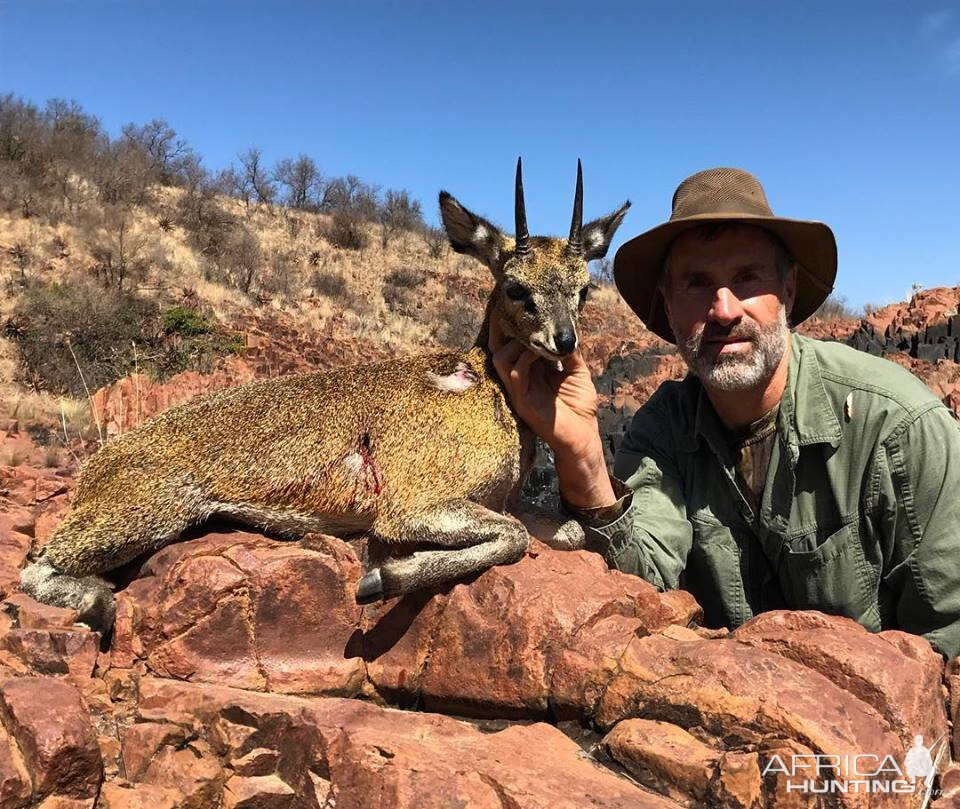 Hunt Klipspringer in South Africa