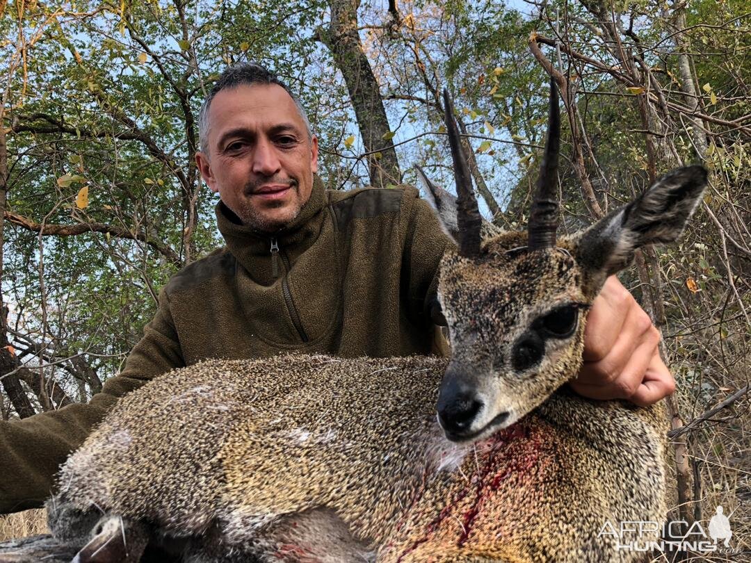 Hunt Klipspringer in Zimbabwe