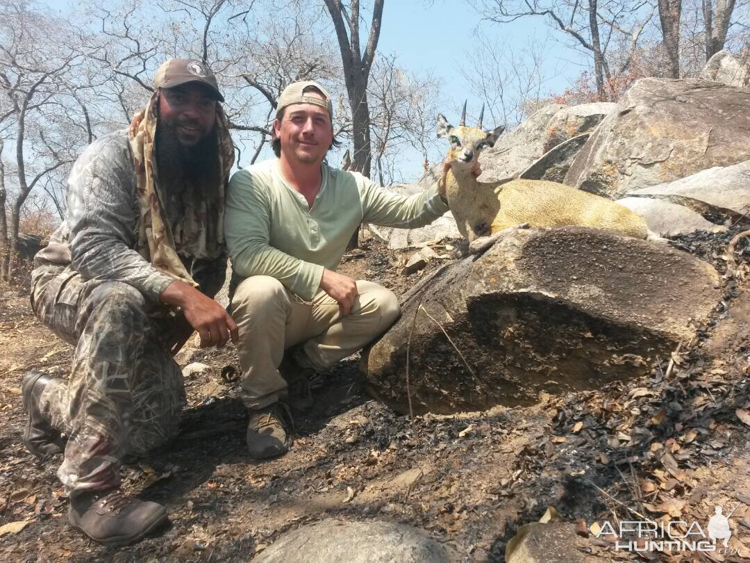 Hunt Klipspringer Tanzania