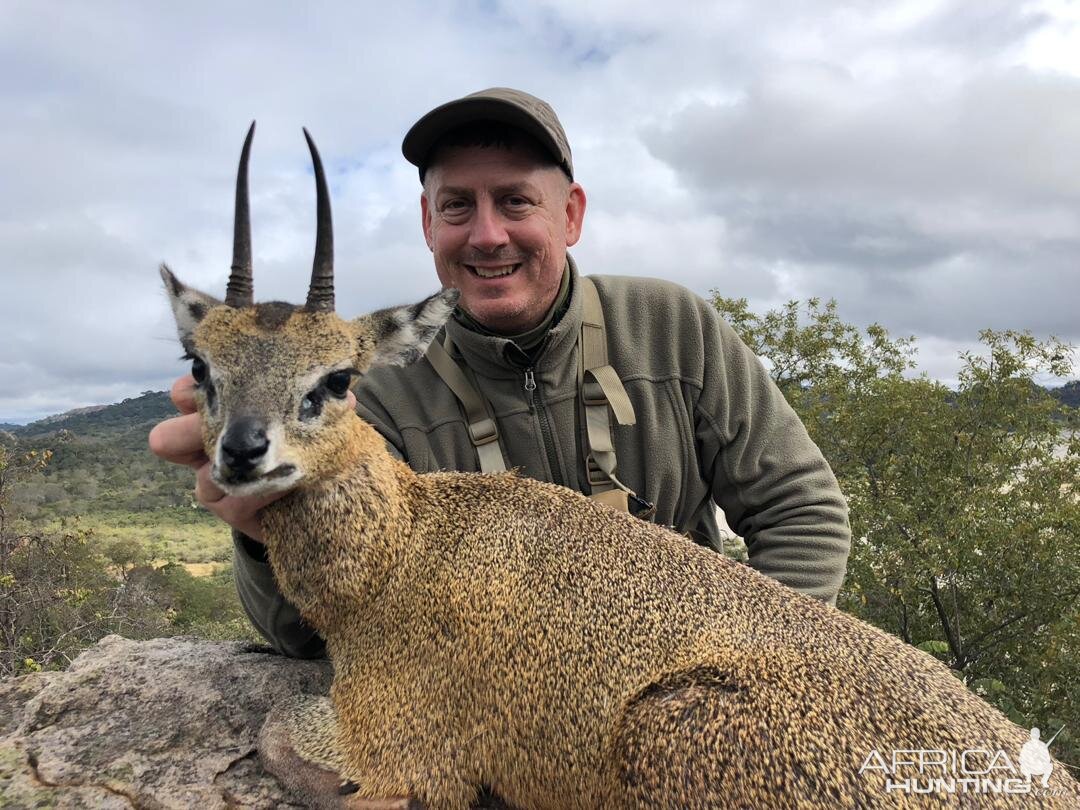 Hunt Klipspringer Zimbabwe