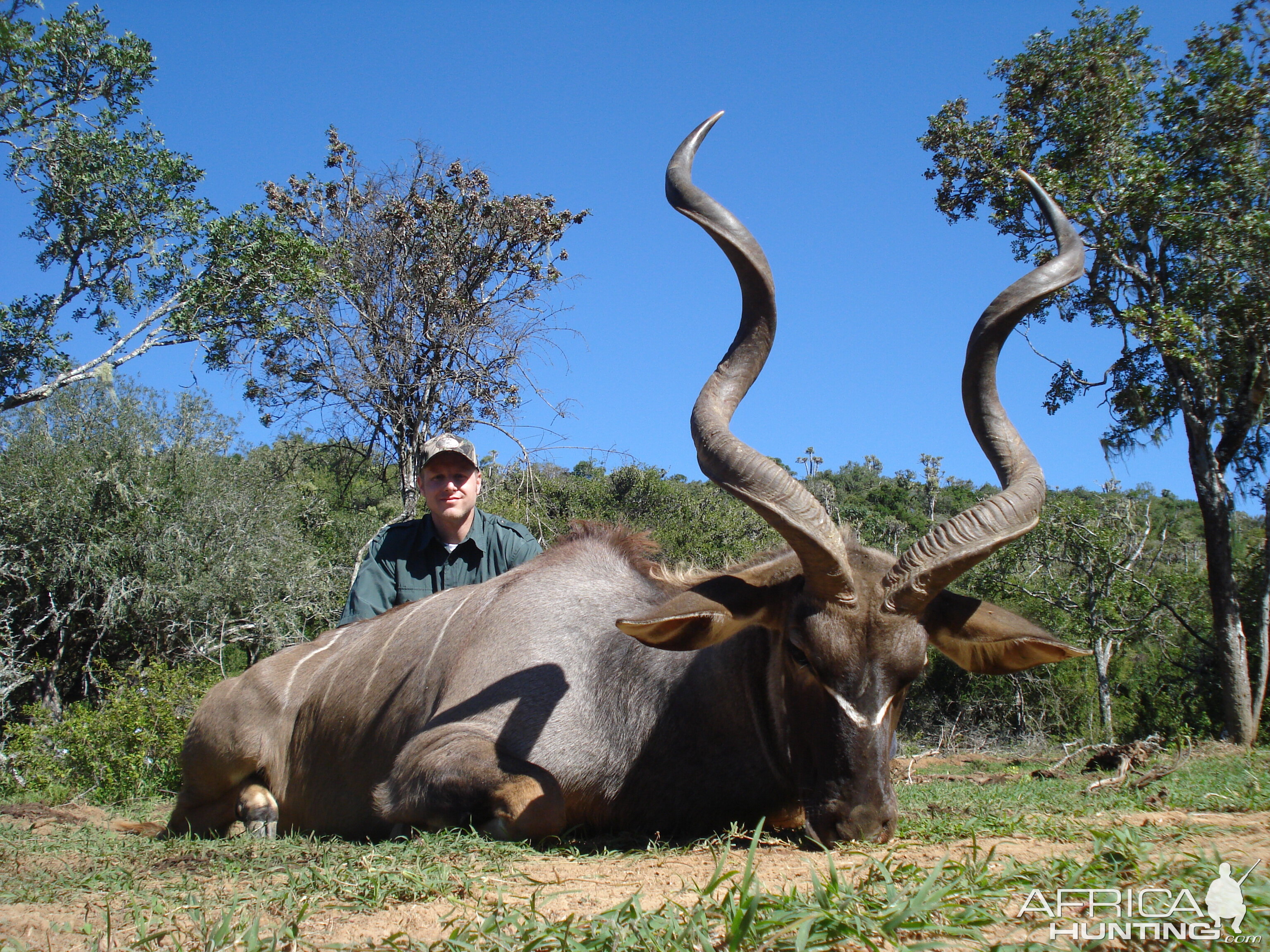 Hunt Kudu in South Africa