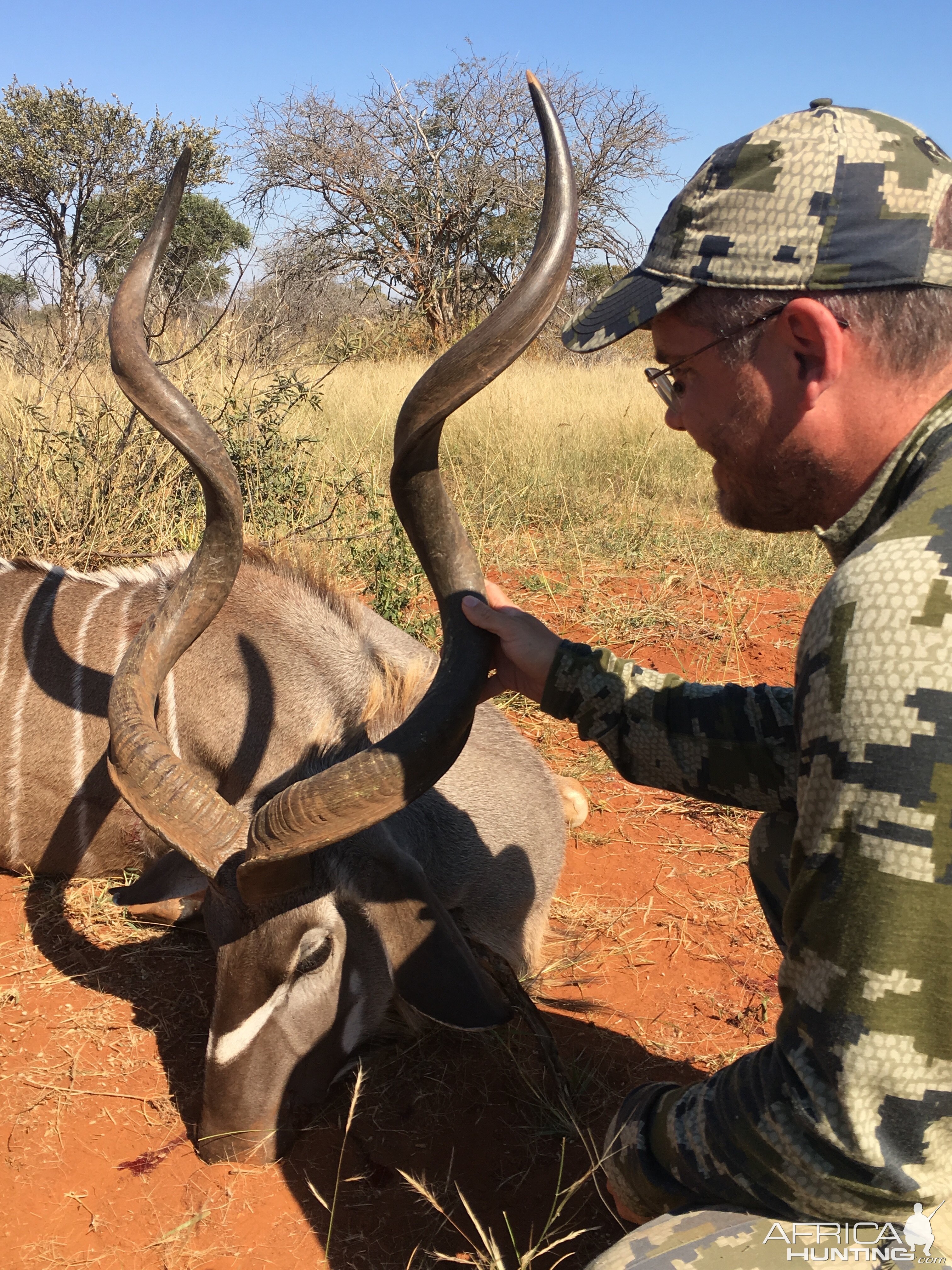 Hunt Kudu in South Africa