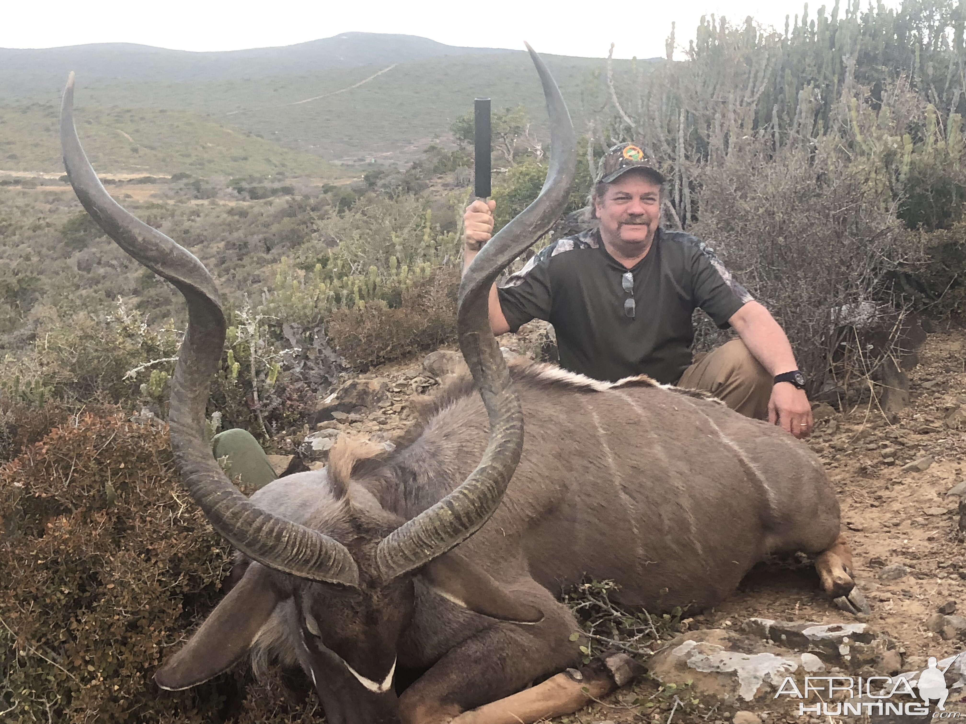 Hunt Kudu in South Africa