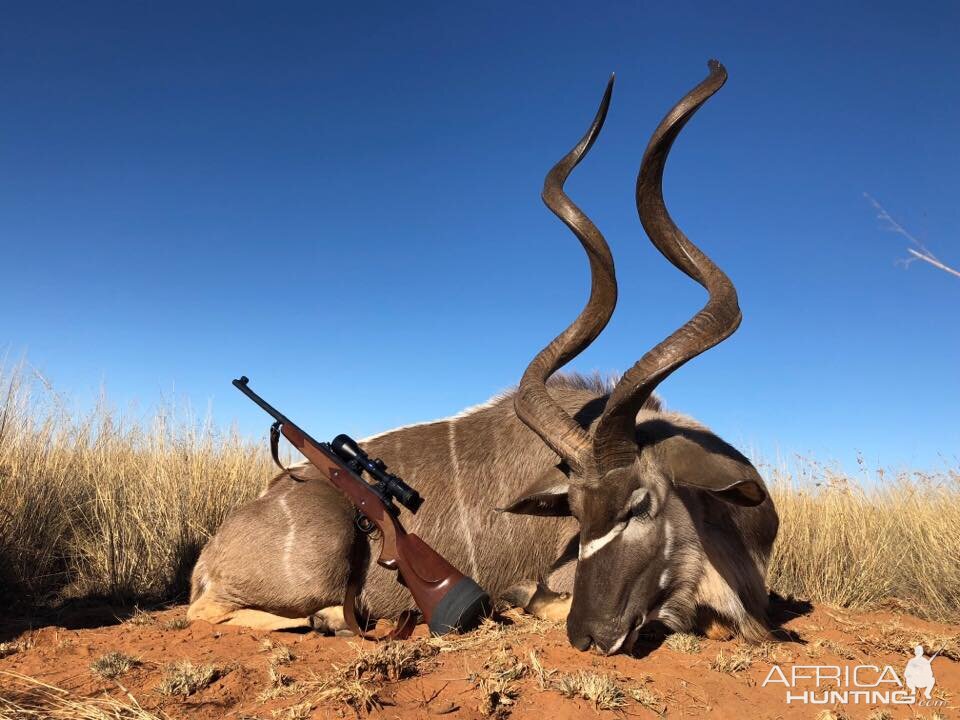 Hunt Kudu in South Africa