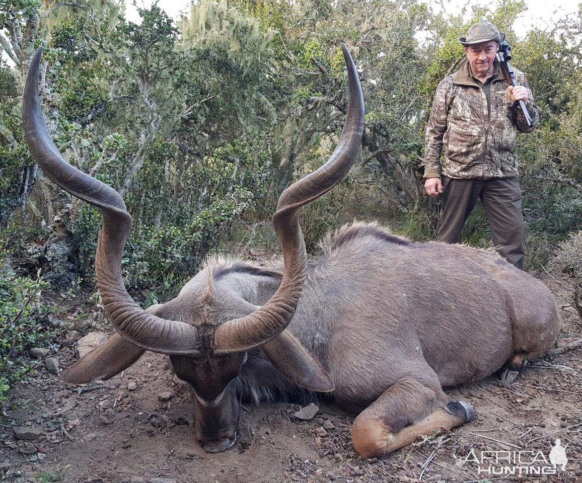 Hunt Kudu in South Africa