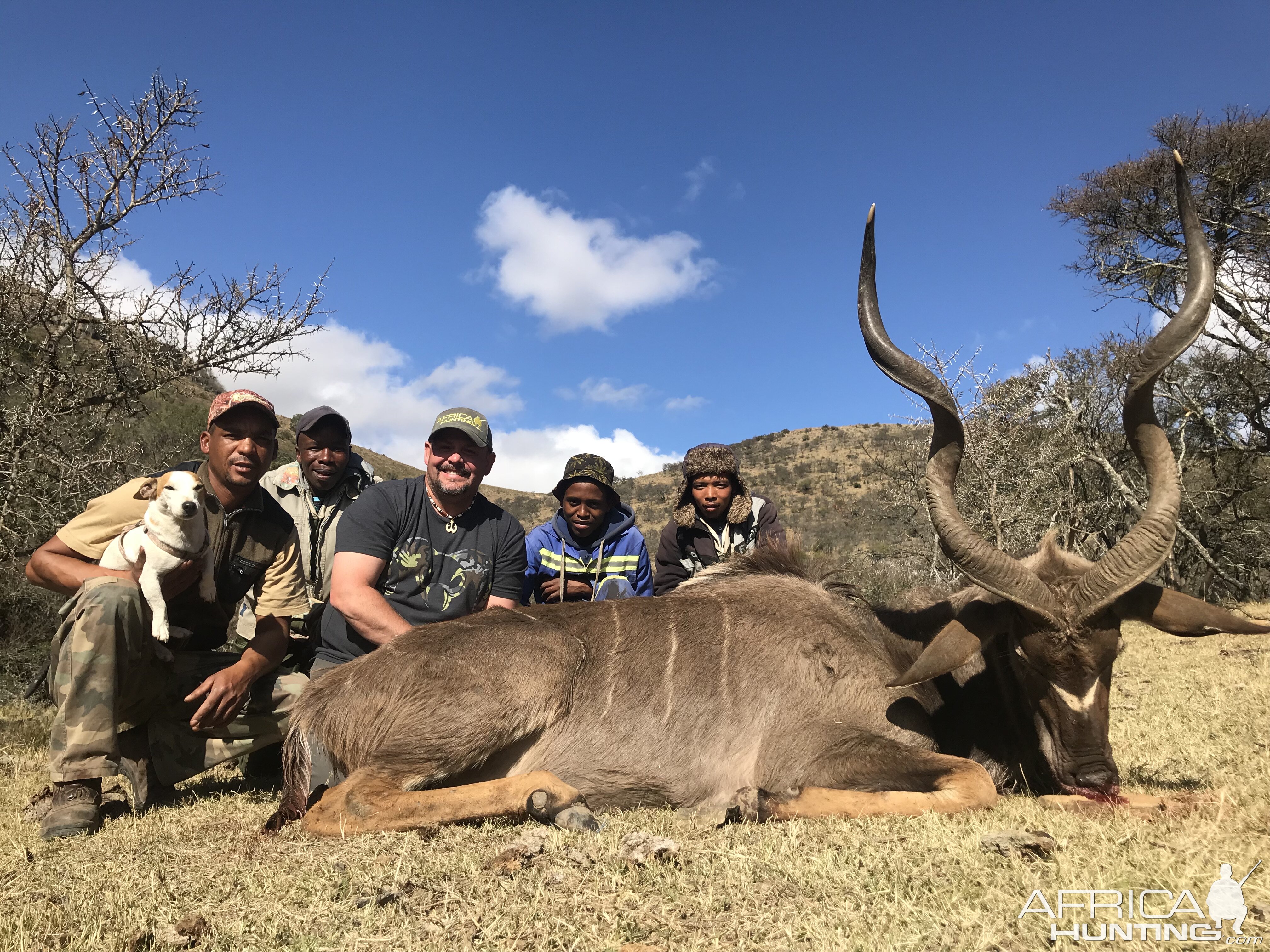 Hunt Kudu in South Africa