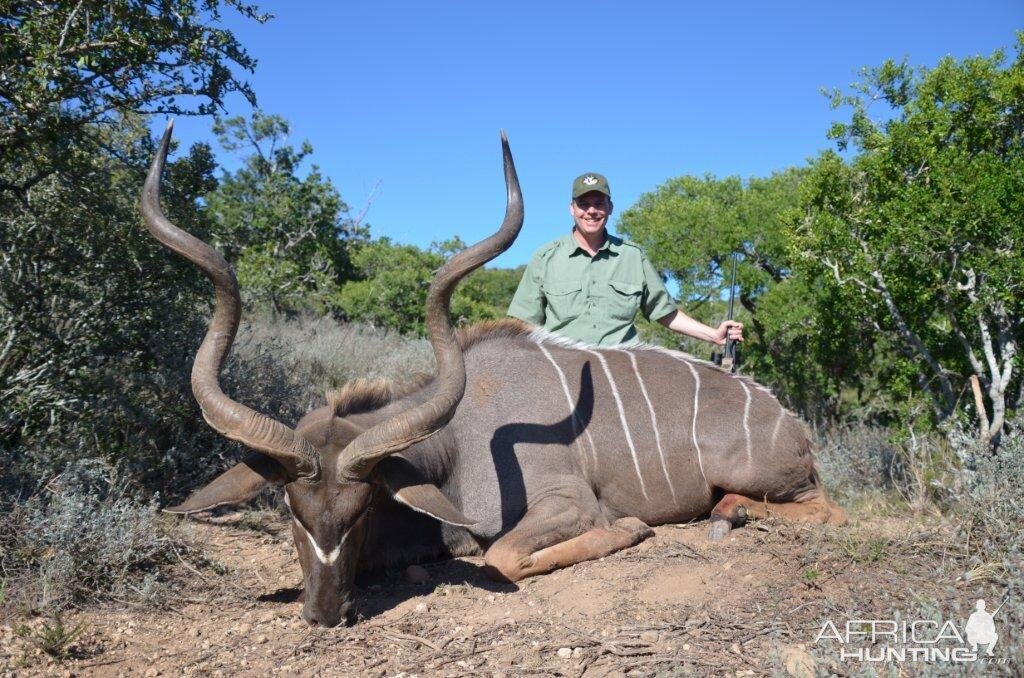 Hunt Kudu in South Africa