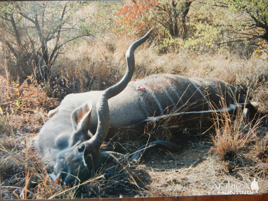 Hunt Kudu in South Africa