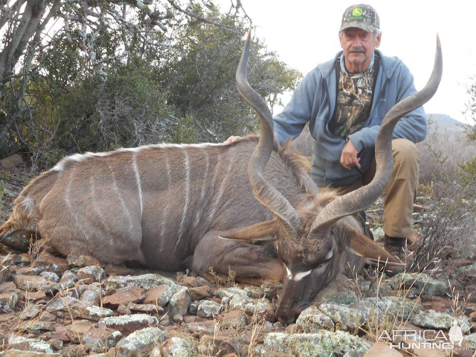 Hunt Kudu in South Africa