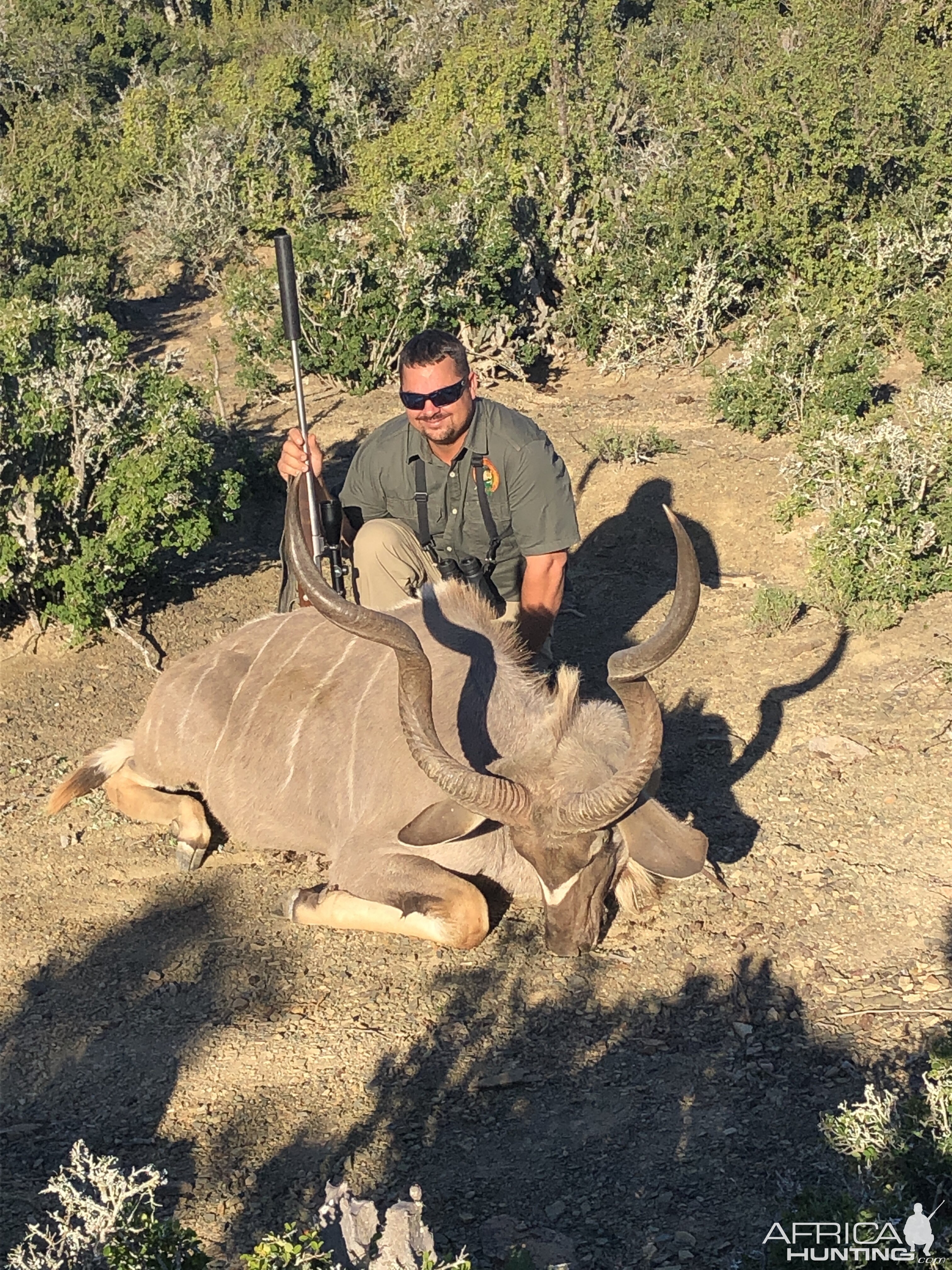 Hunt Kudu in South Africa