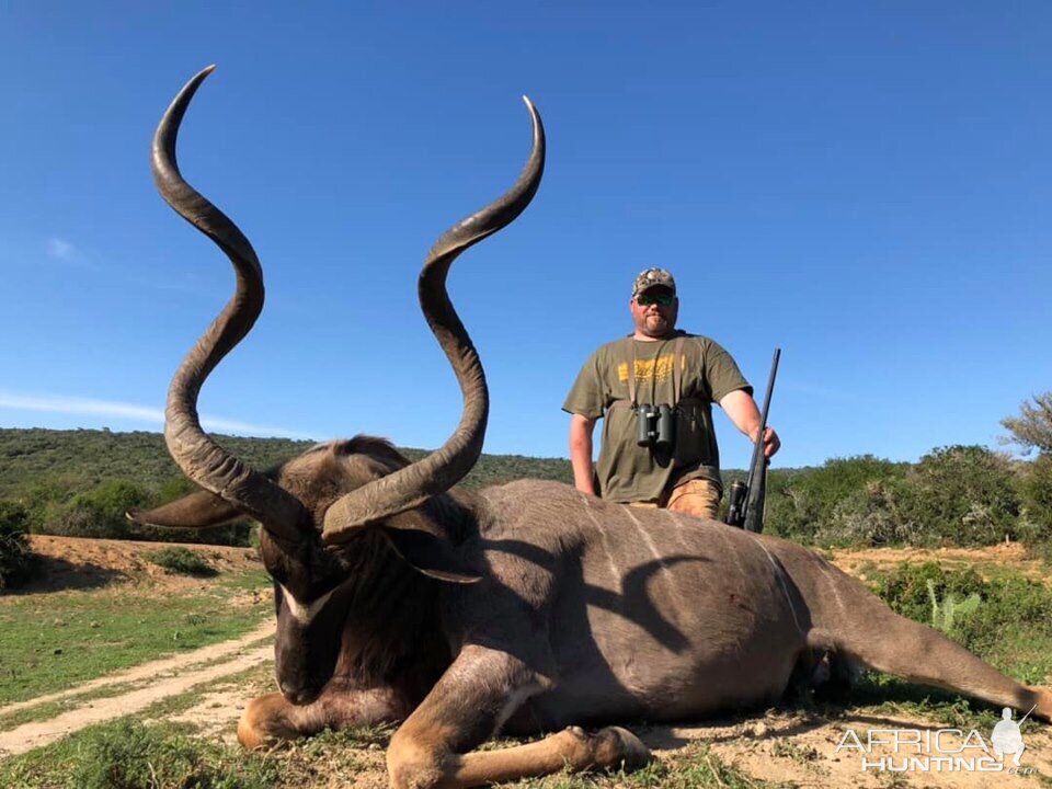 Hunt Kudu in South Africa