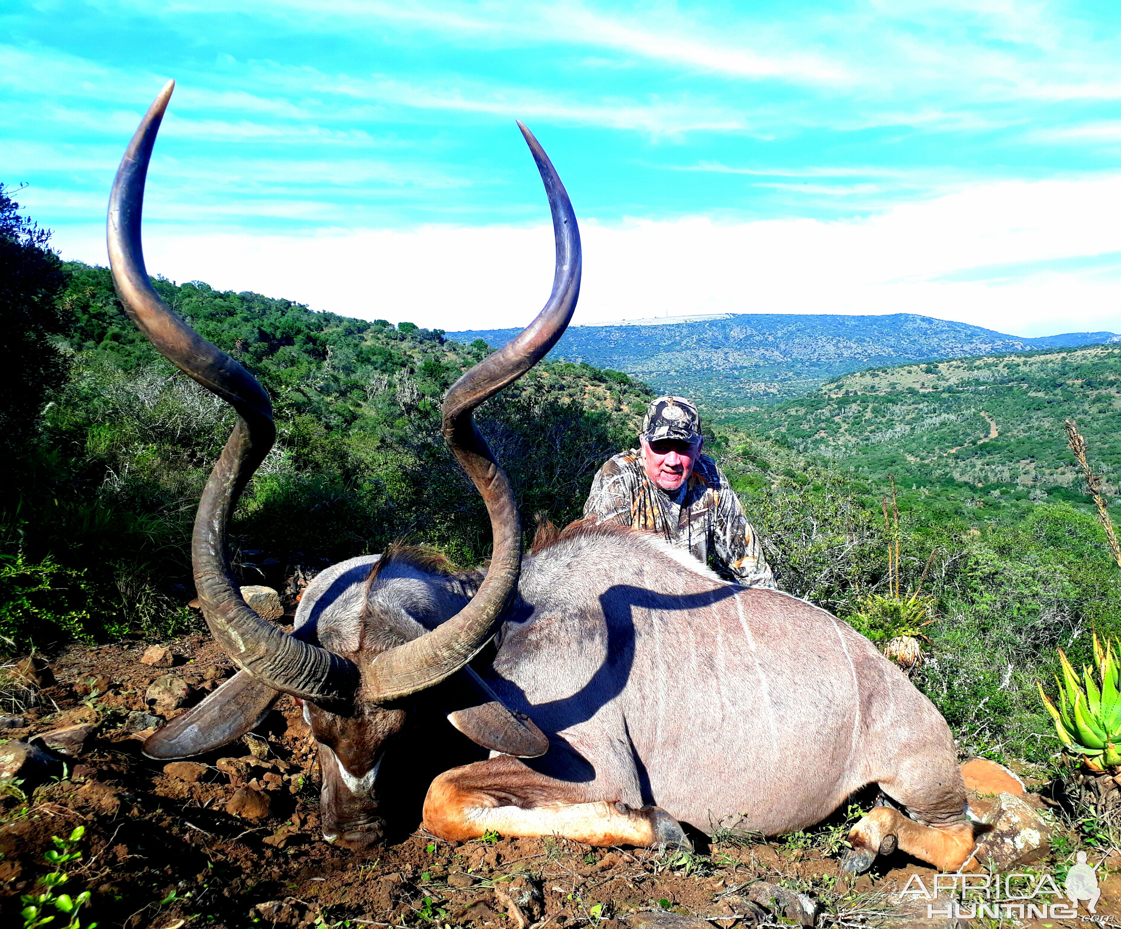 Hunt Kudu in South Africa