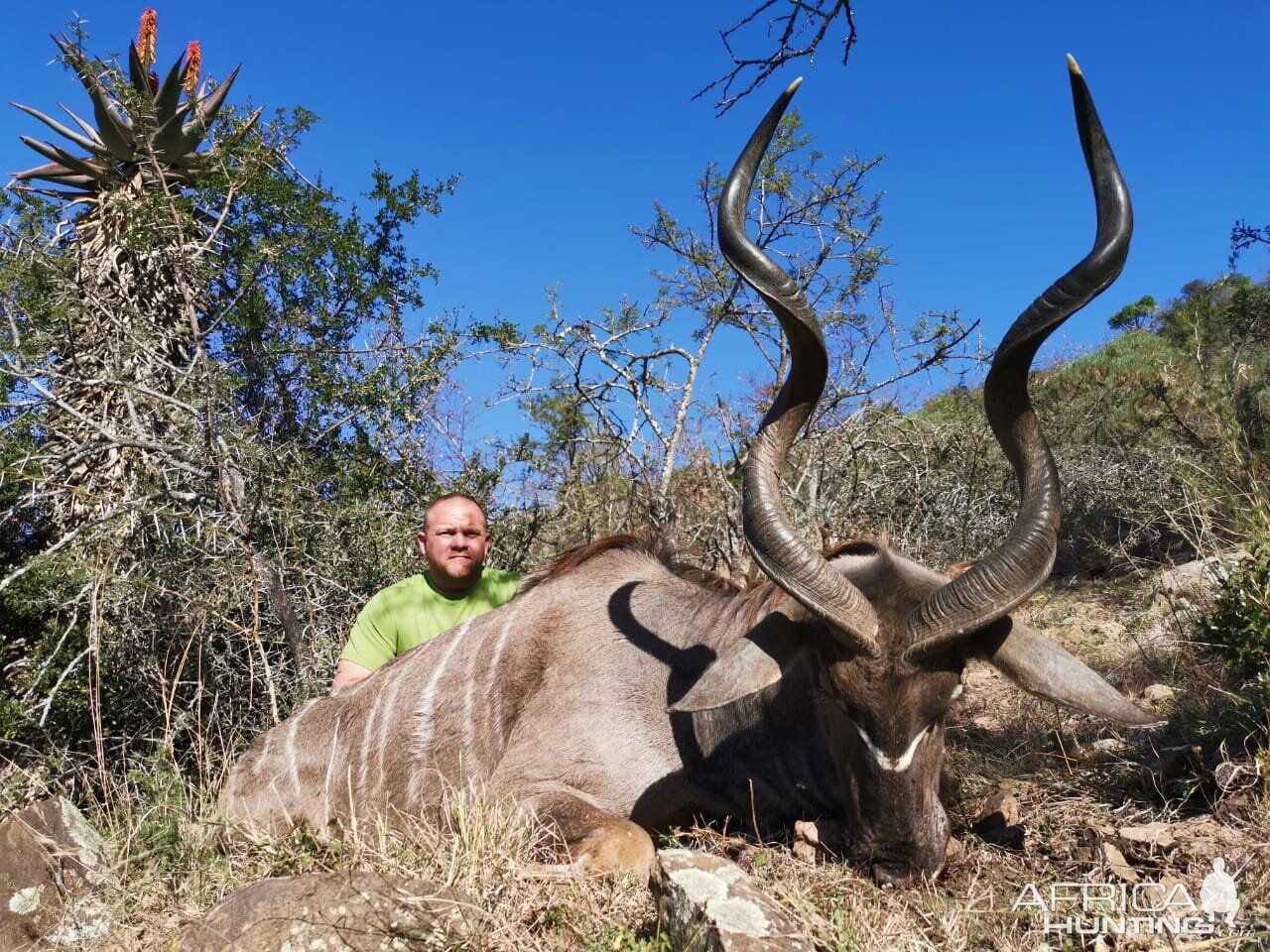 Hunt Kudu in South Africa