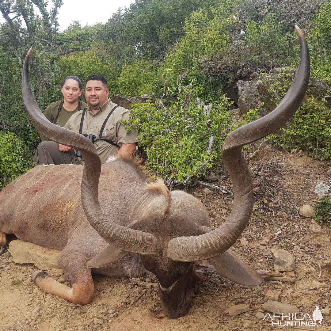 Hunt Kudu in South Africa