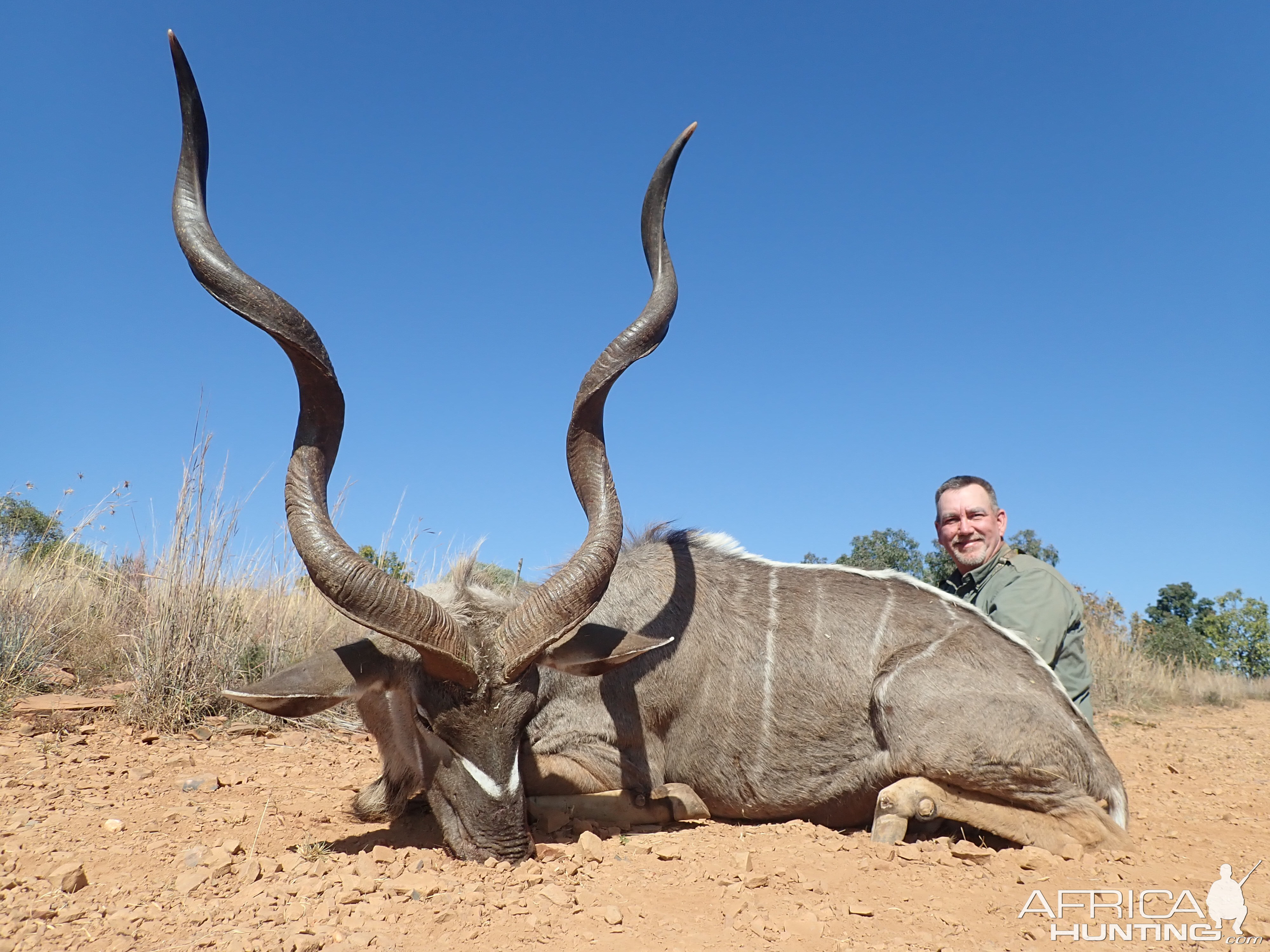 Hunt Kudu in South Africa