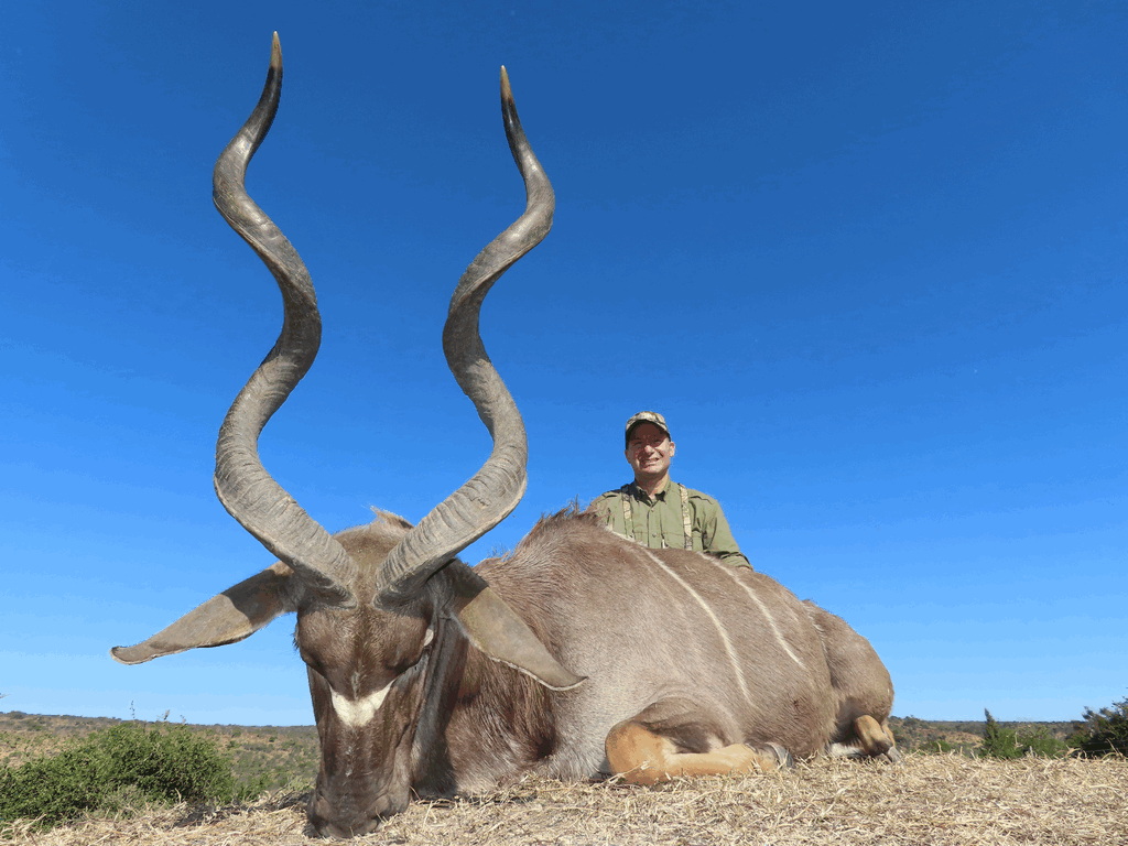 Hunt Kudu in South Africa