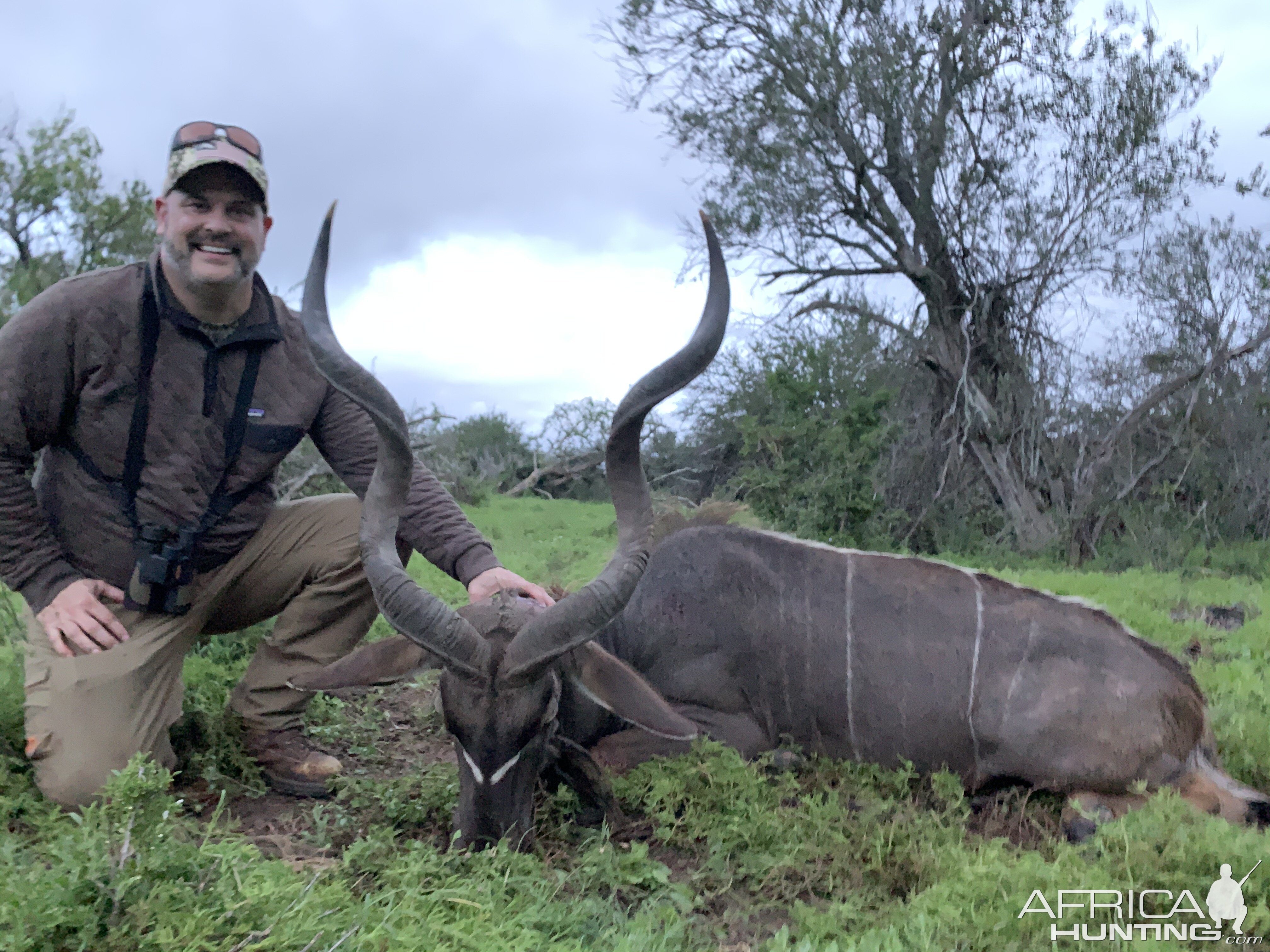 Hunt Kudu in South Africa