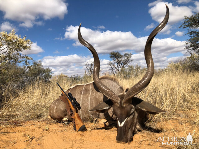 Hunt Kudu South Africa