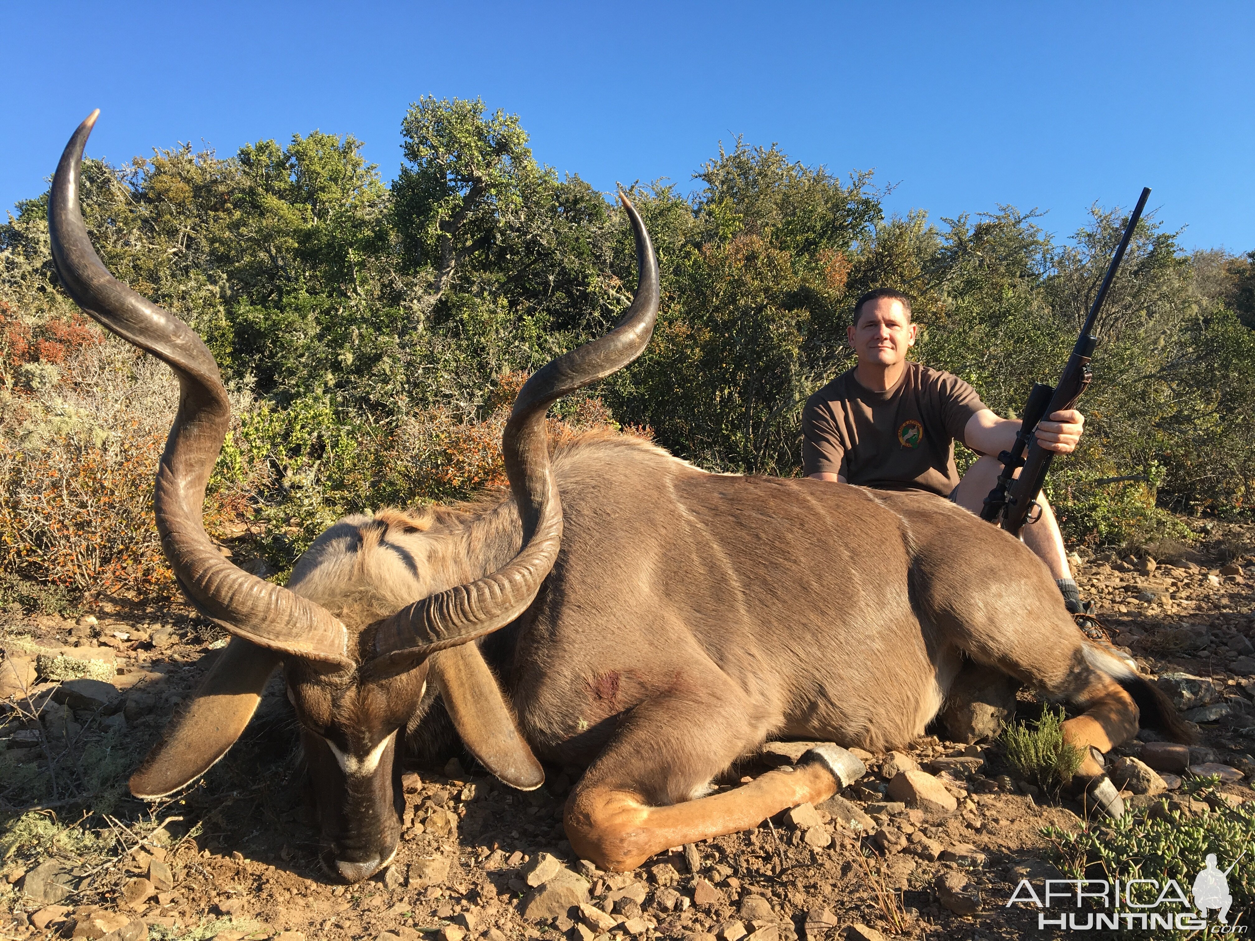 Hunt Kudu South Africa