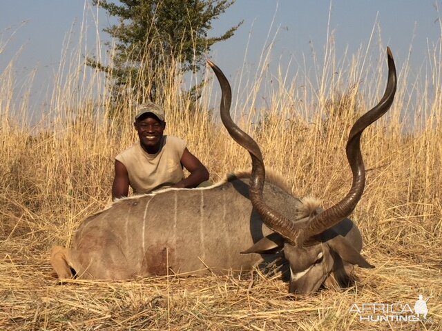 Hunt Kudu Zimbabwe