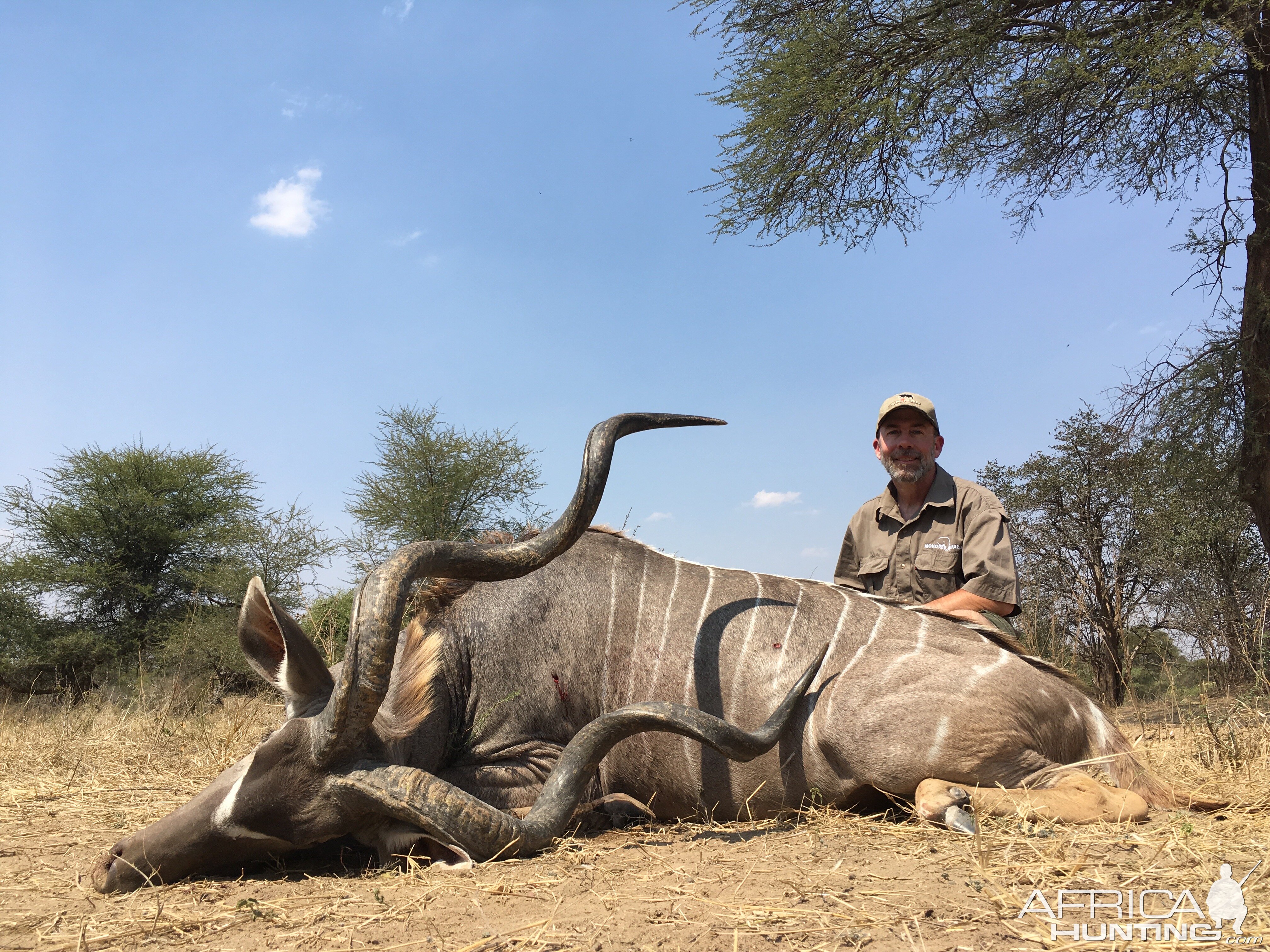 Hunt Kudu Zimbabwe