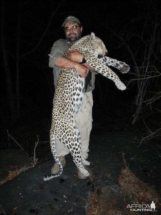 Hunt Leopard in Mozambique