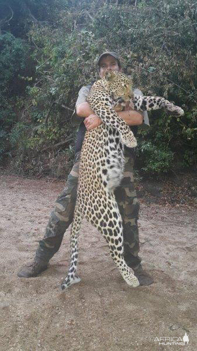 Hunt Leopard in Mozambique