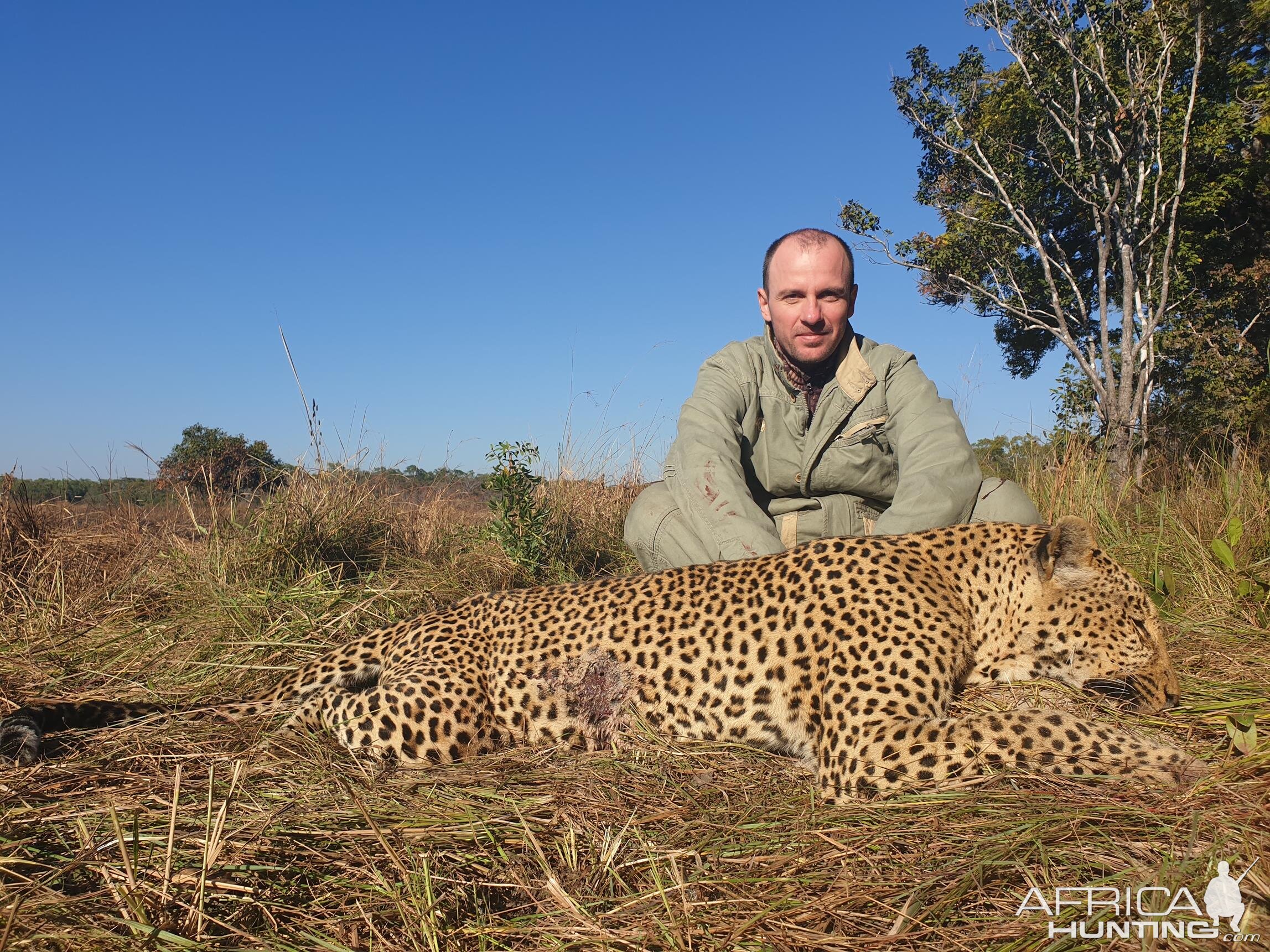 Hunt Leopard in Mozambique