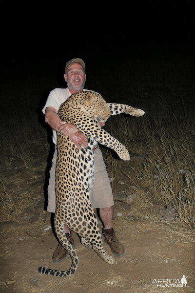 Hunt Leopard in Namibia