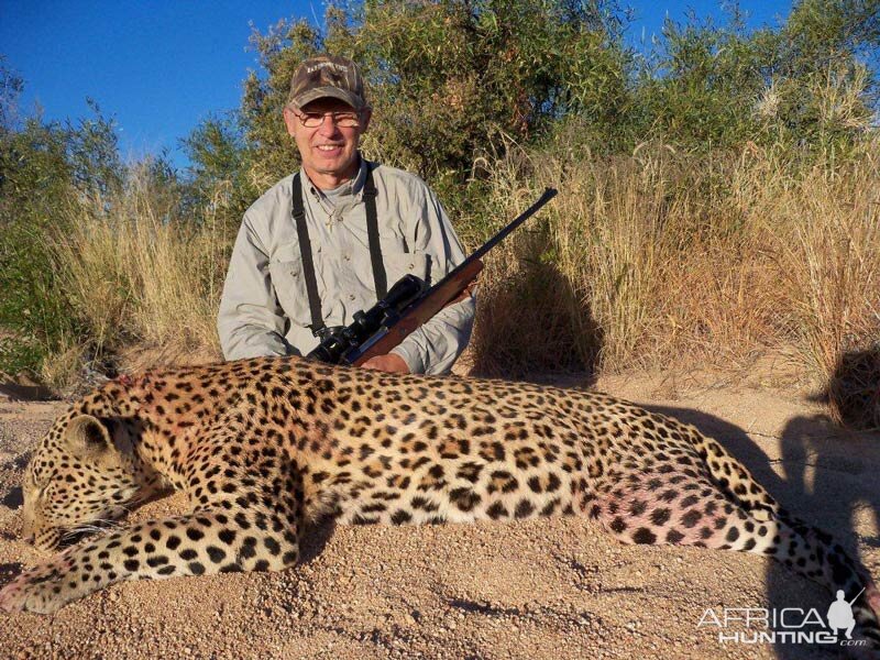 Hunt Leopard in Namibia