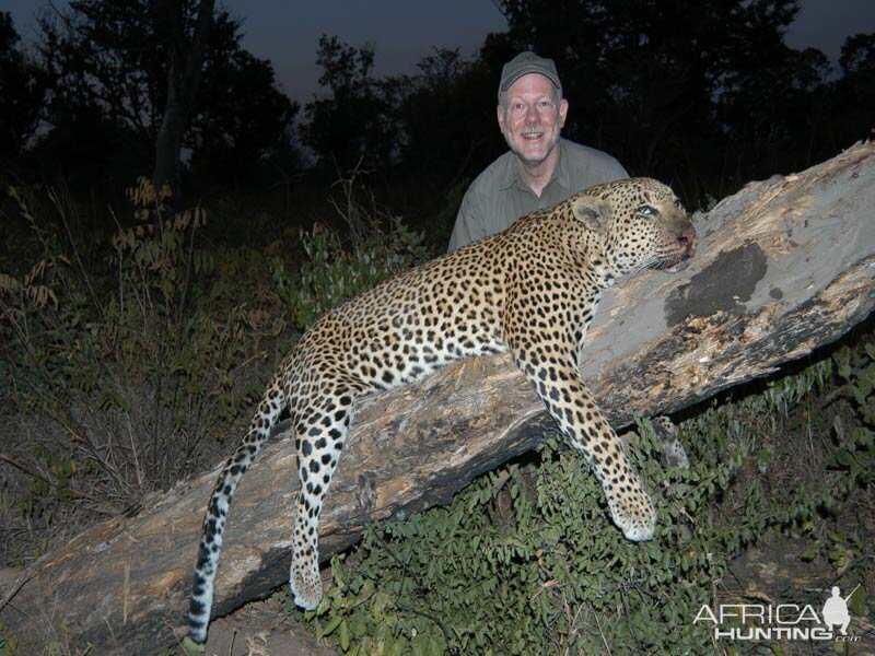 Hunt Leopard in Namibia