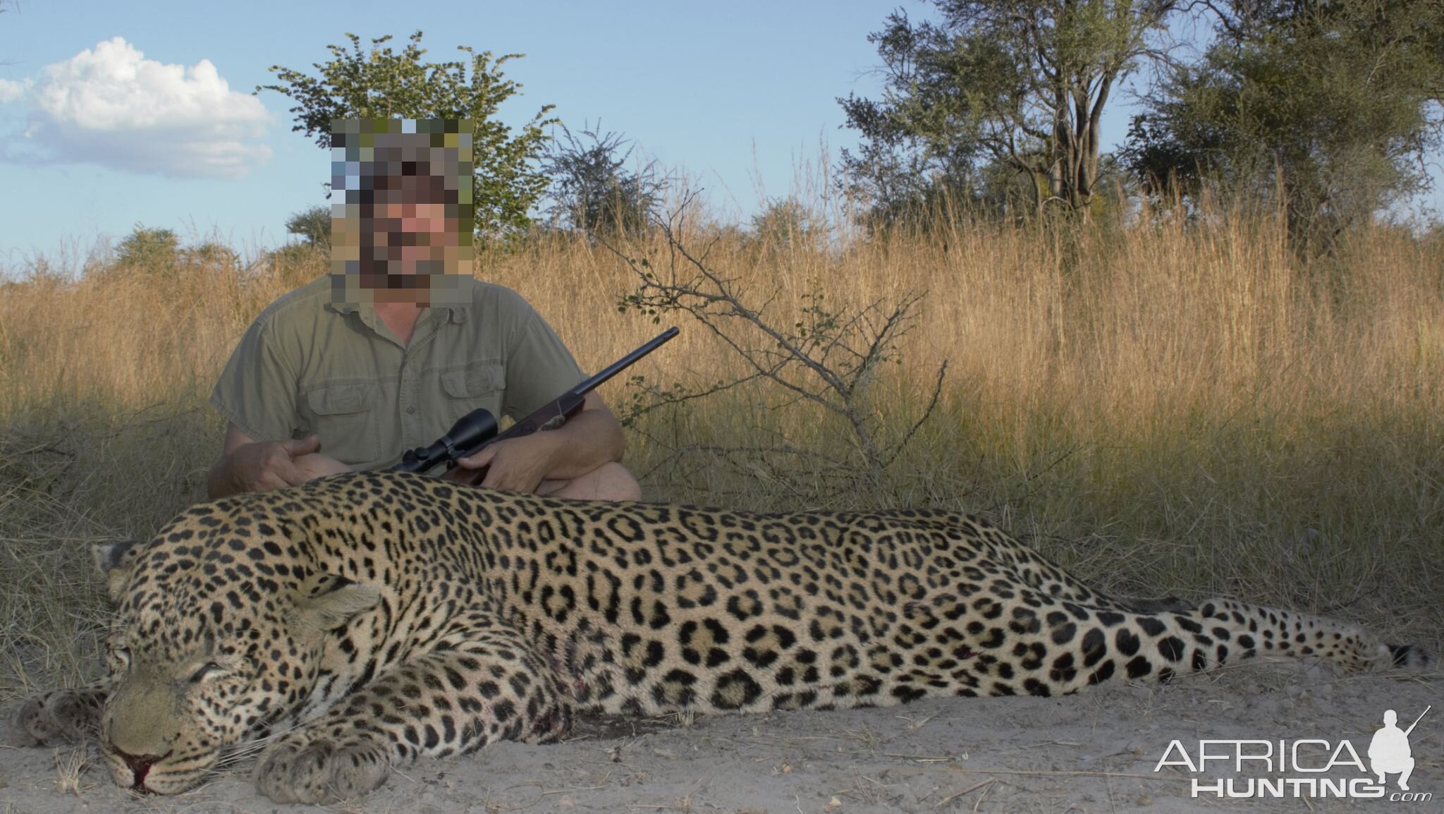 Hunt Leopard in Namibia