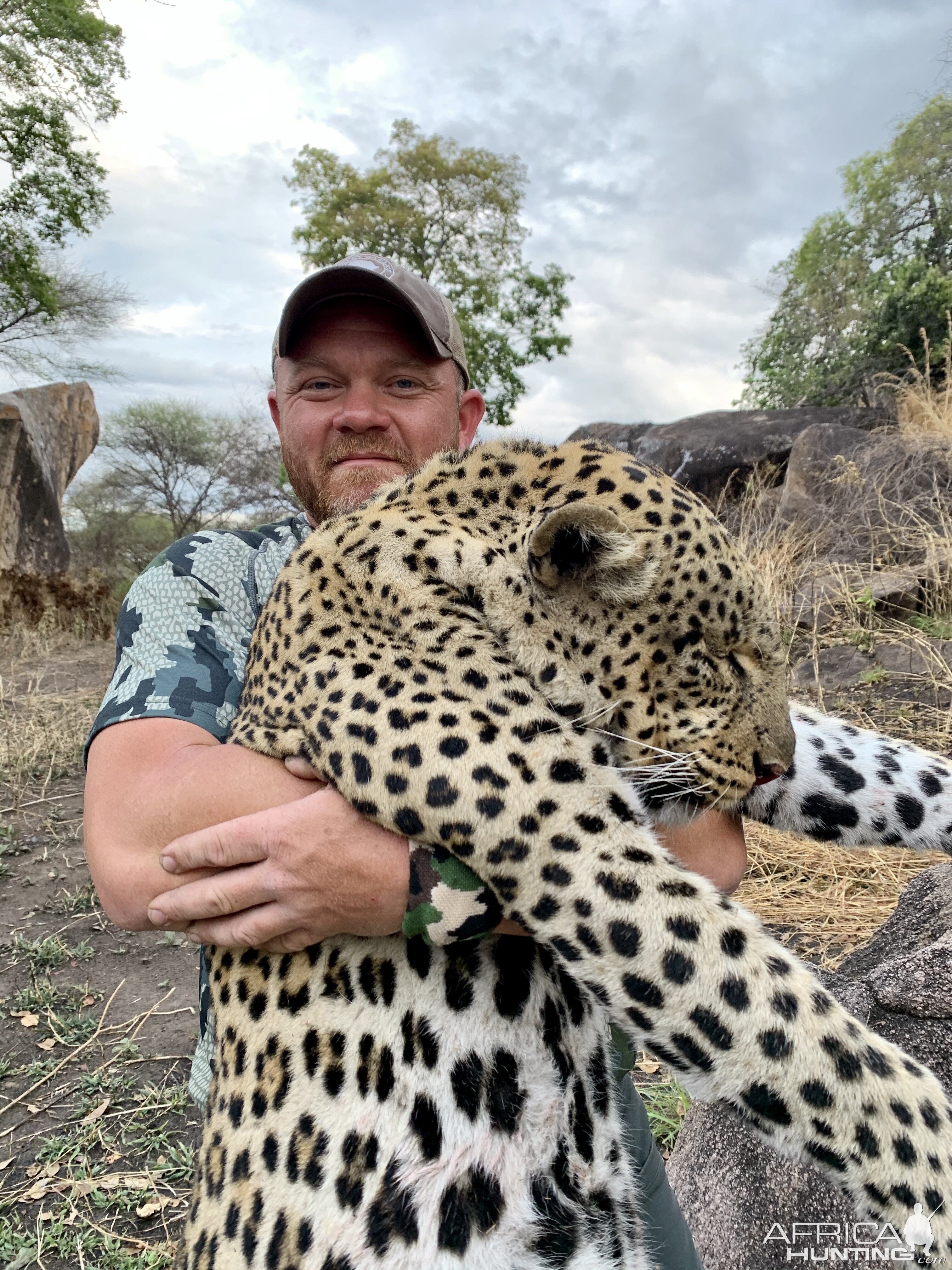 Hunt Leopard in Tanzania