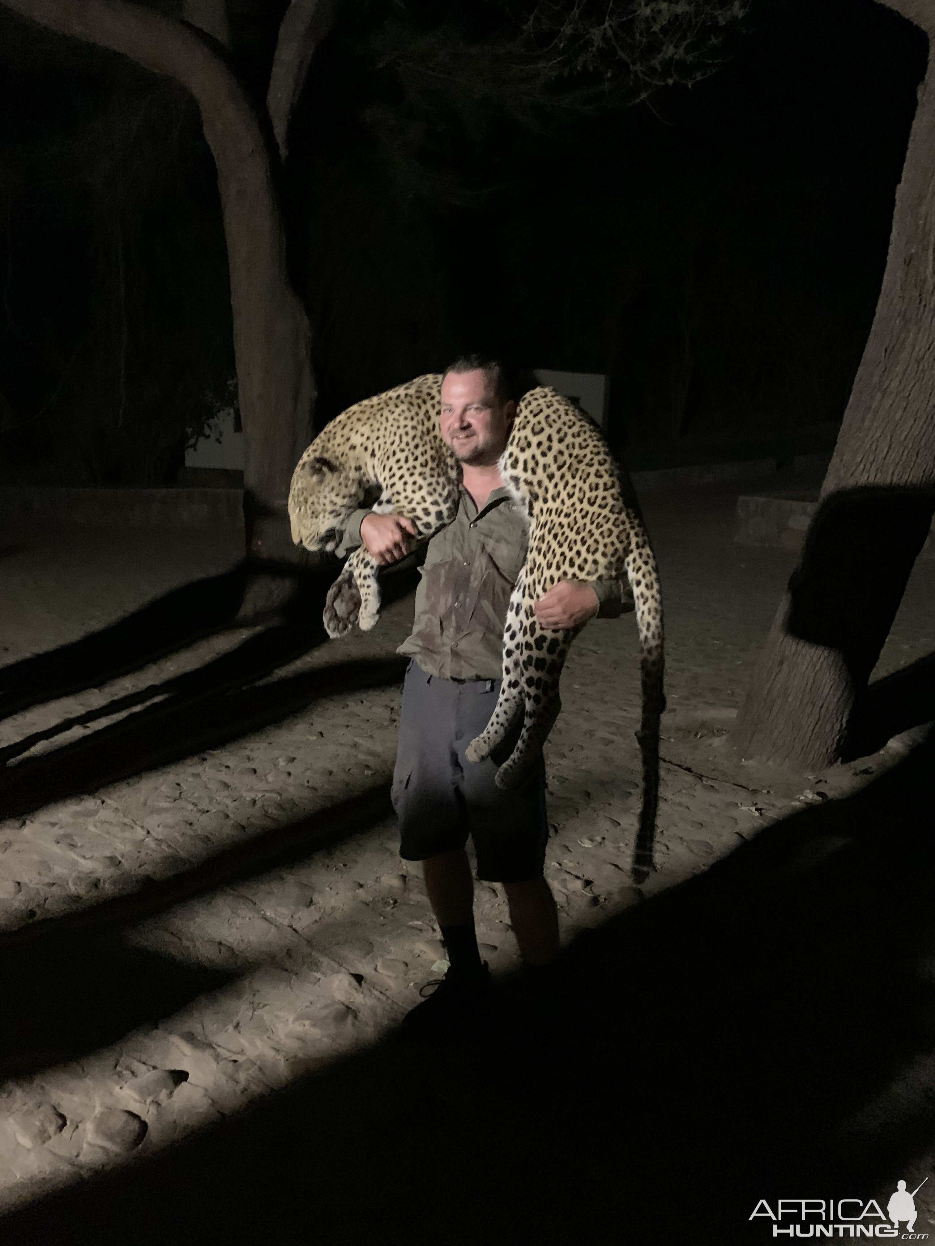 Hunt Leopard in Zambia