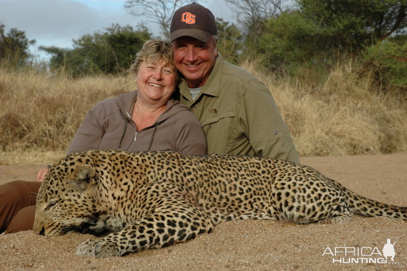 Hunt Leopard in Zimbabwe