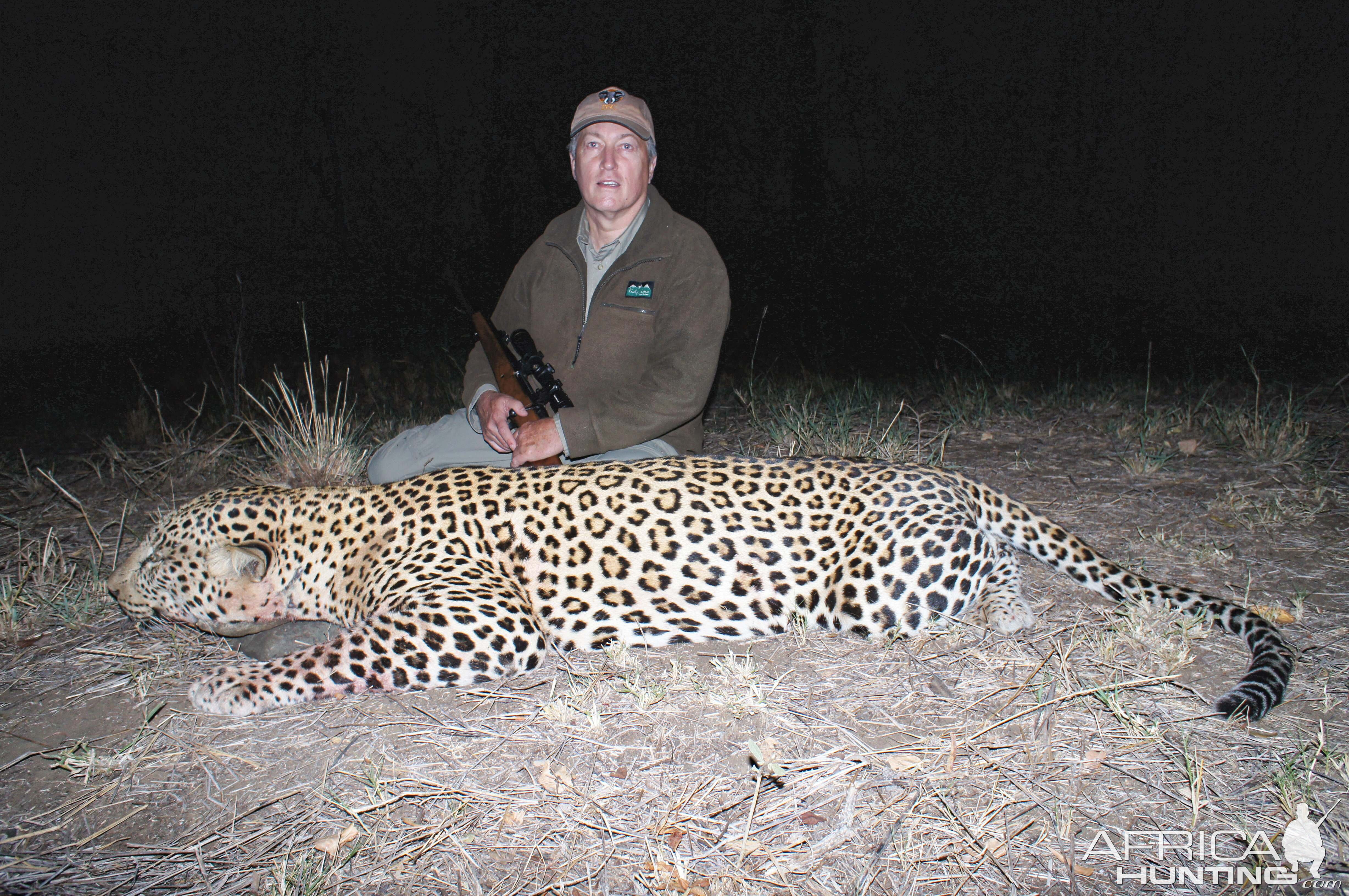 Hunt Leopard in Zimbabwe