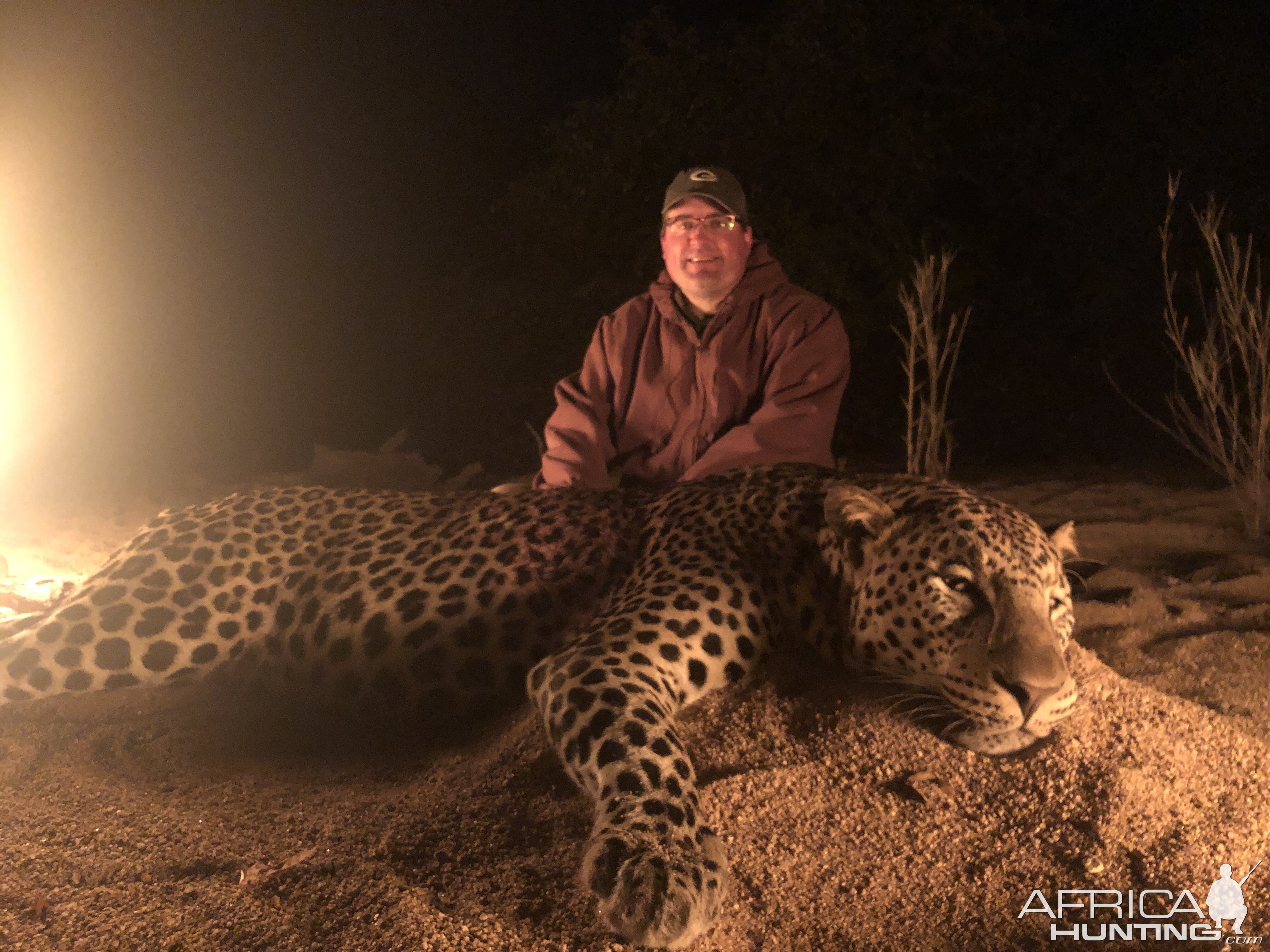 Hunt Leopard in Zimbabwe