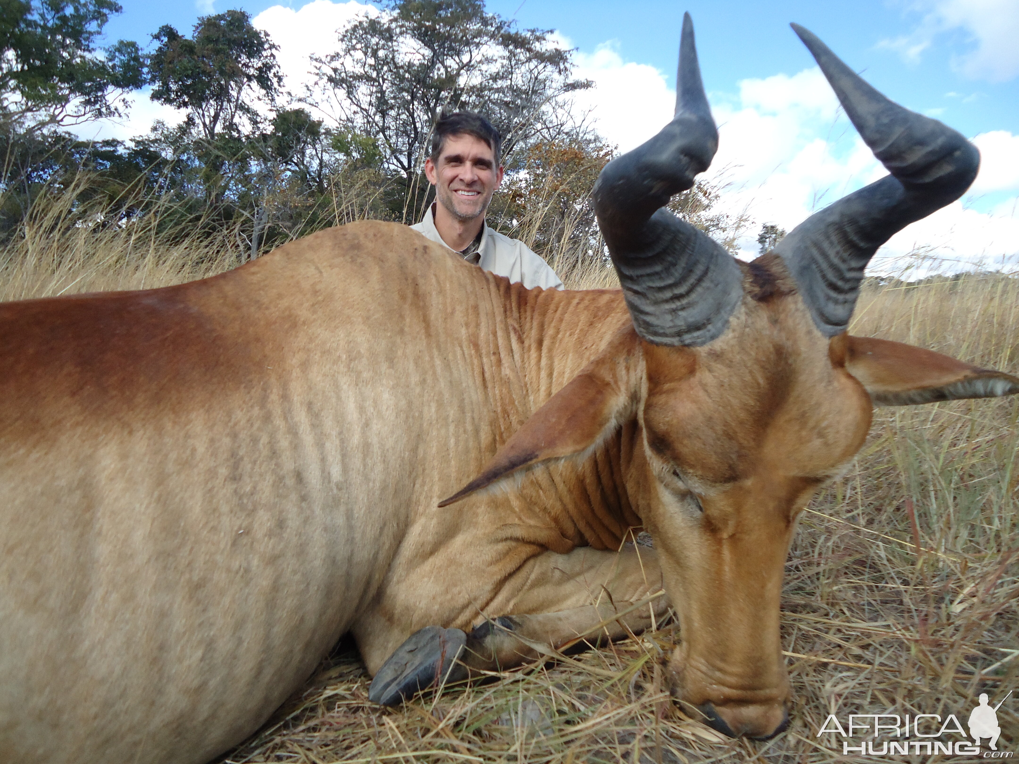 Hunt Lichtenstein's Hartebeest in Zambia