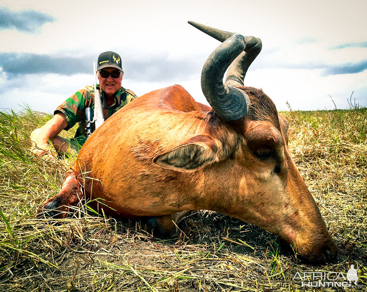 Hunt Lichtenstein's Hartebeest