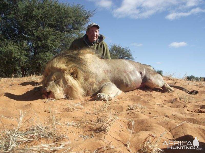 Hunt Lion in Namibia