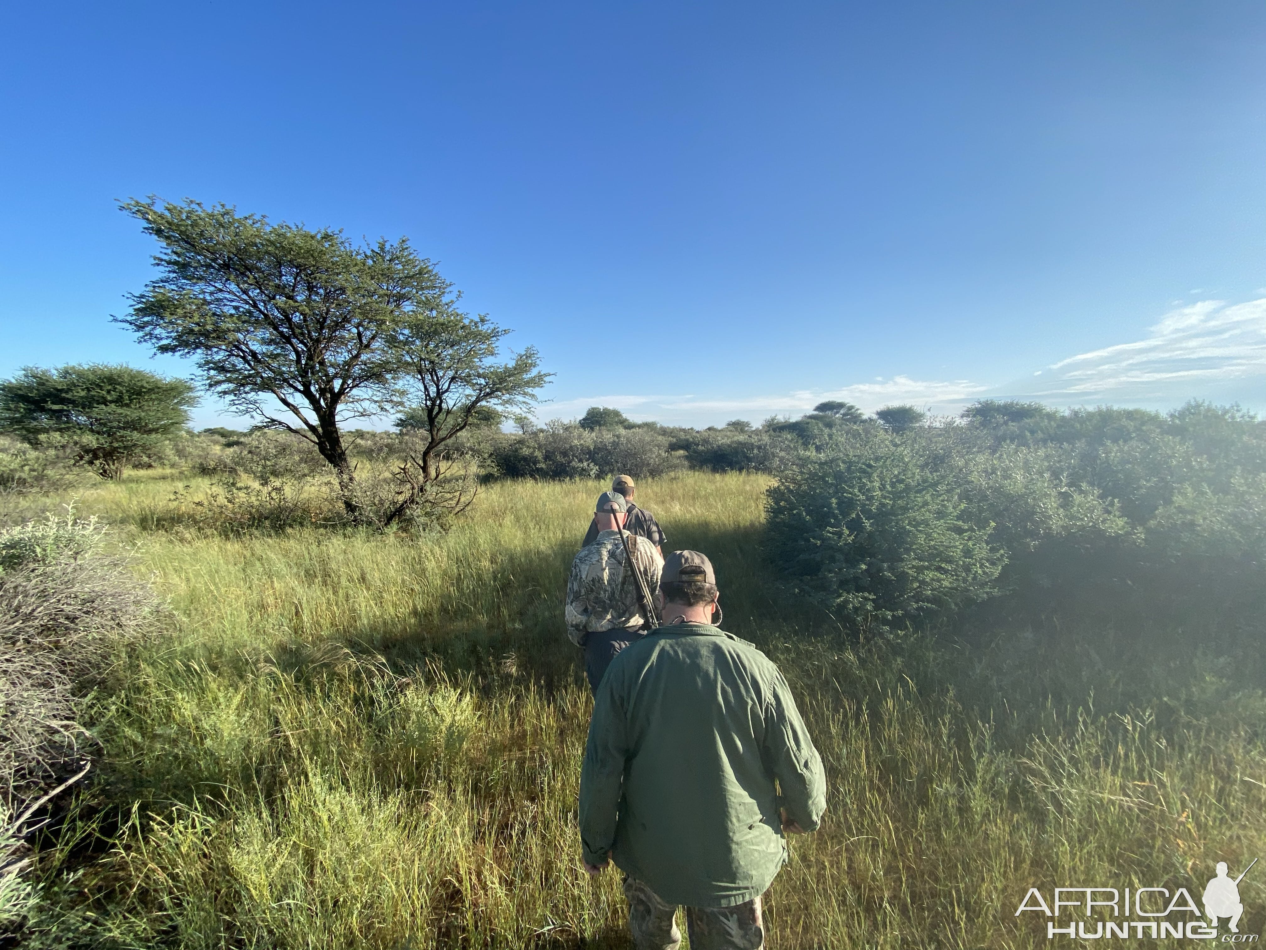 Hunt Lion in South Africa