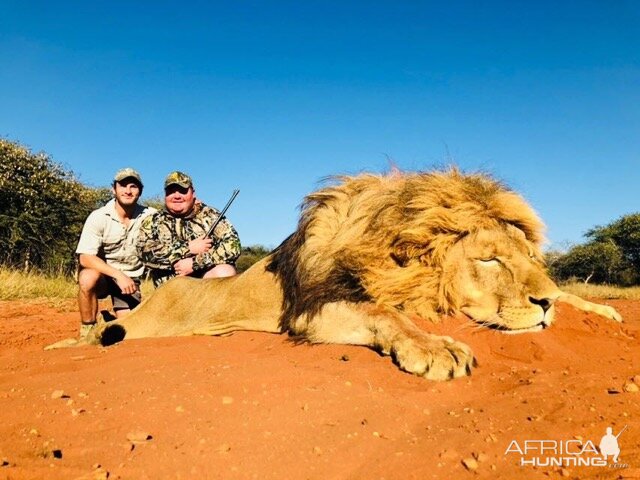 Hunt Lion in South Africa