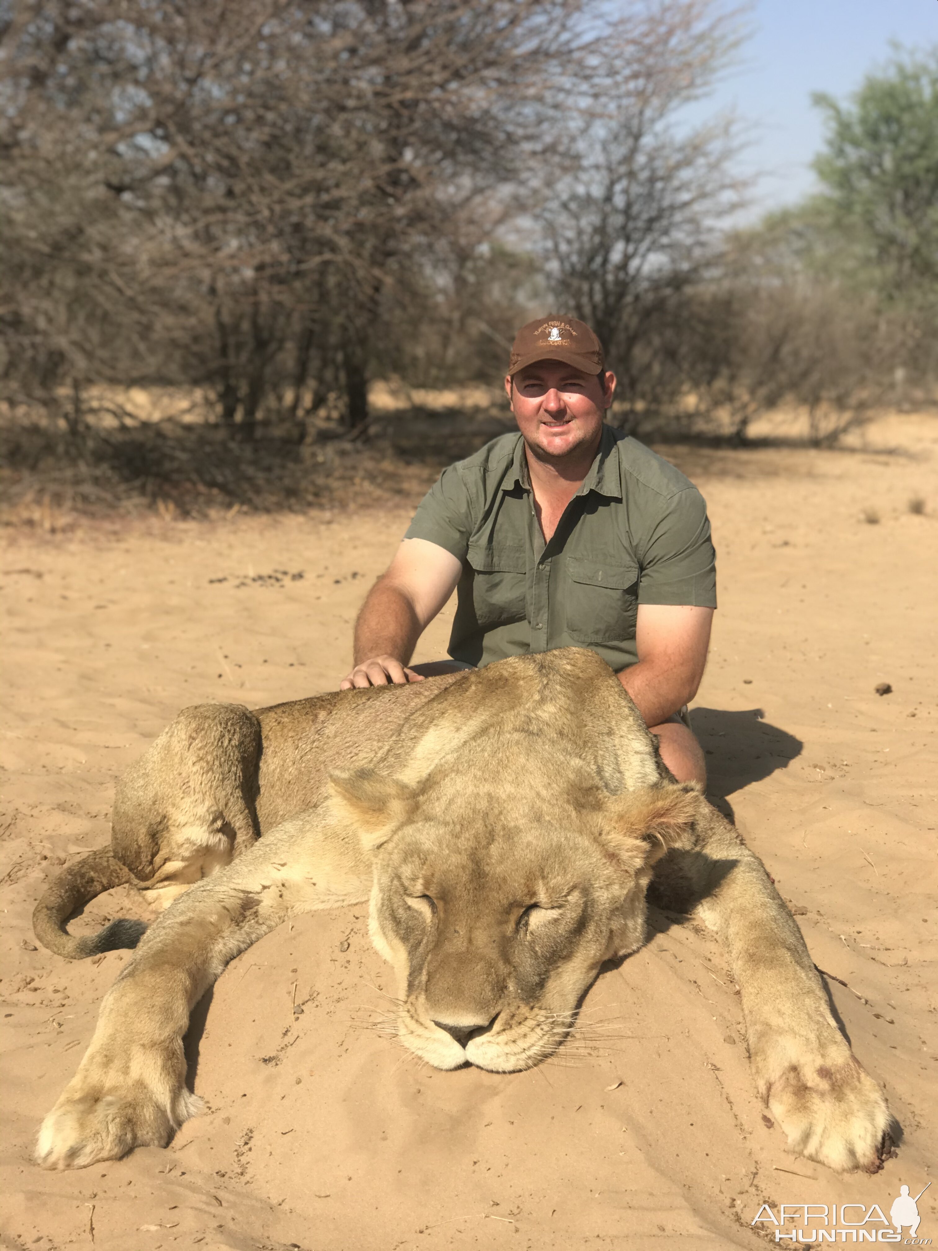 Hunt Lioness in South Africa