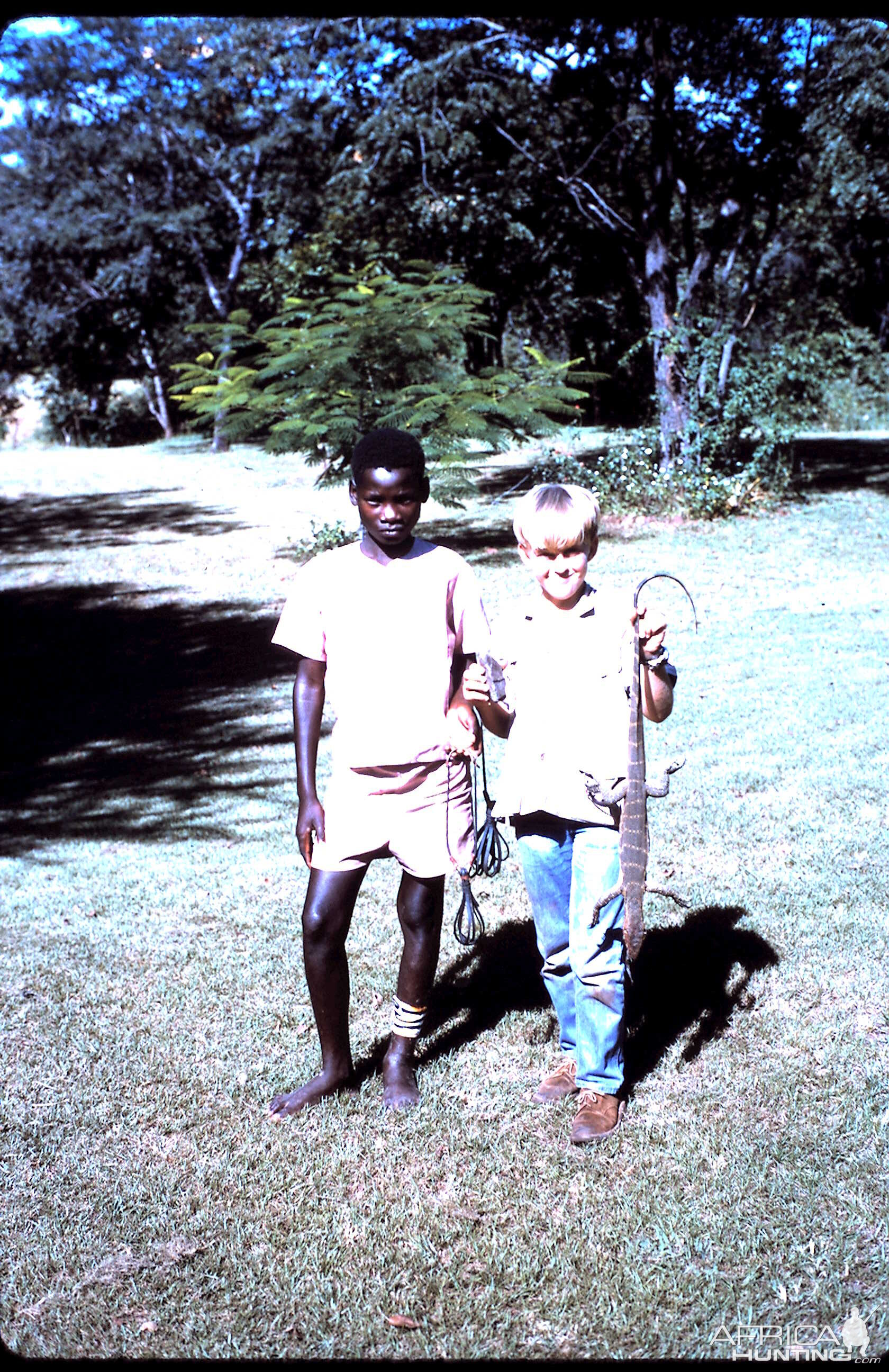 Hunt Lizards  in Tanzania during 60's