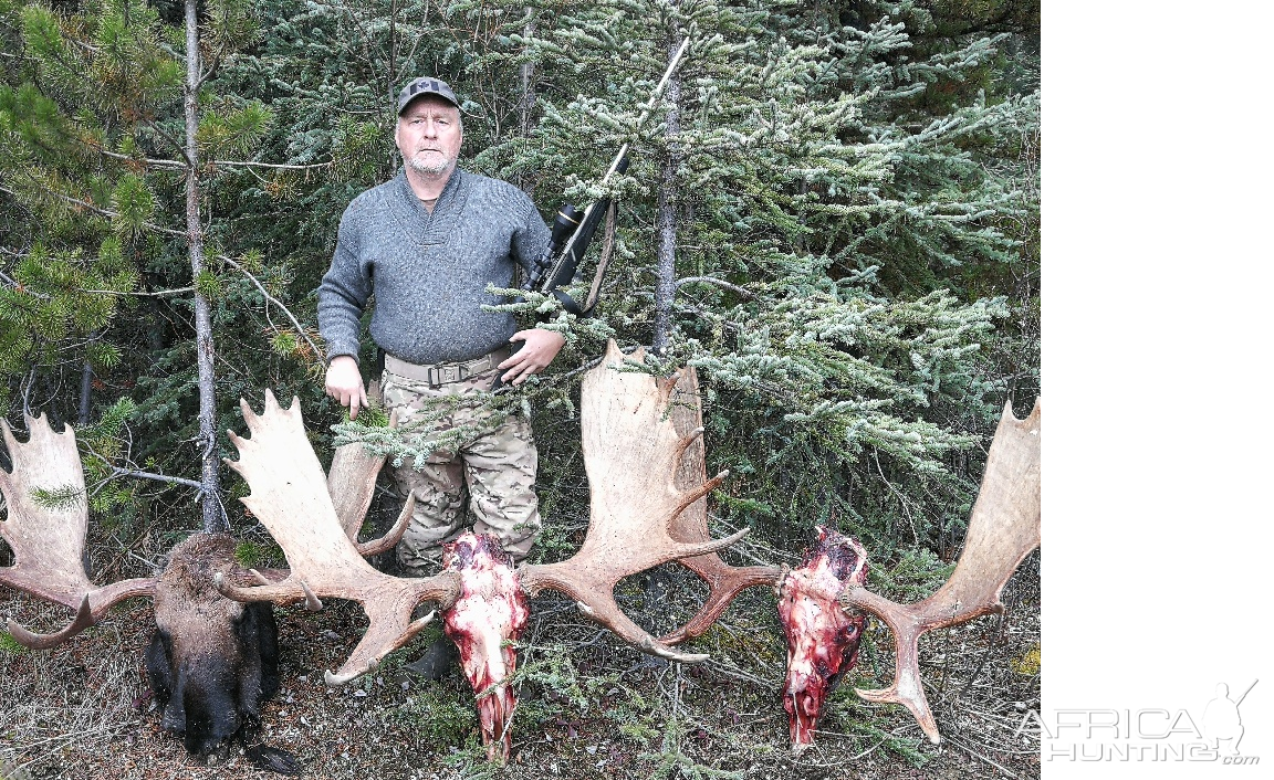 Hunt Moose in Canada